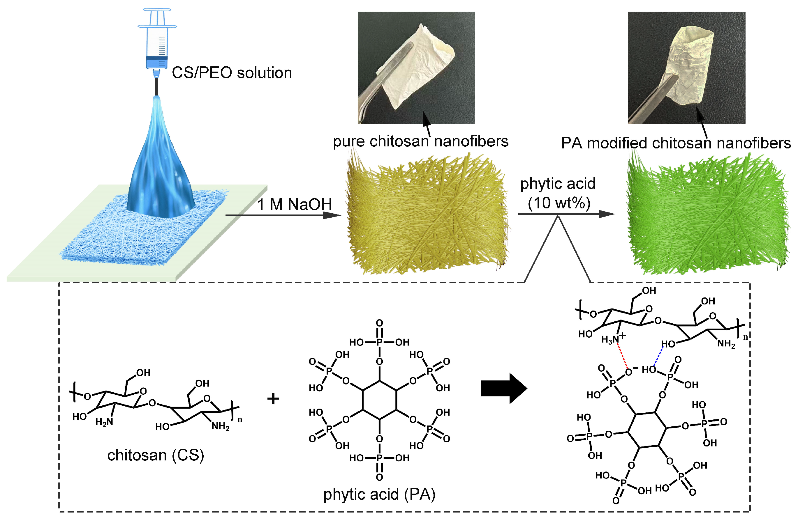 Polymers 17 02725 g001