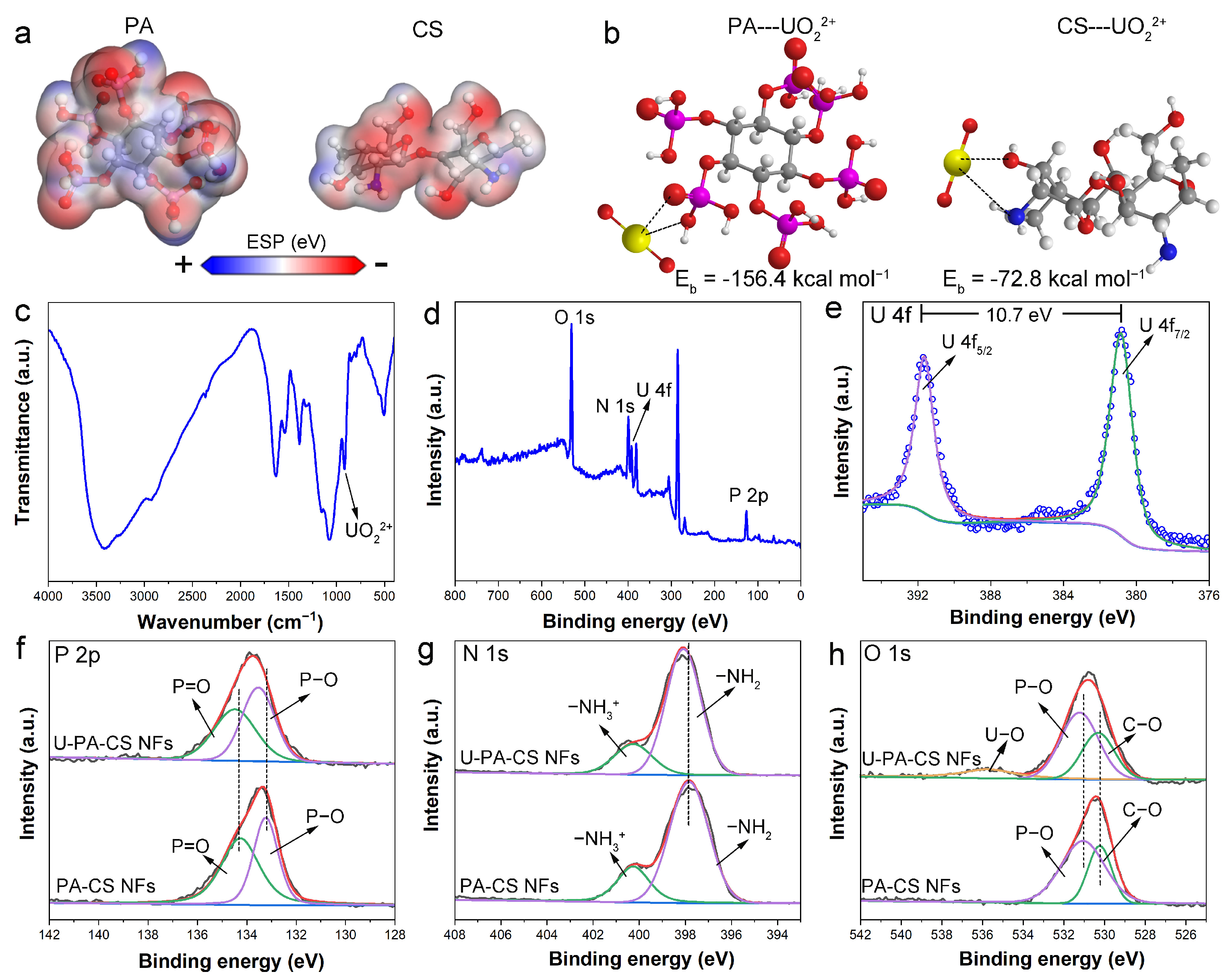 Polymers 17 02725 g009