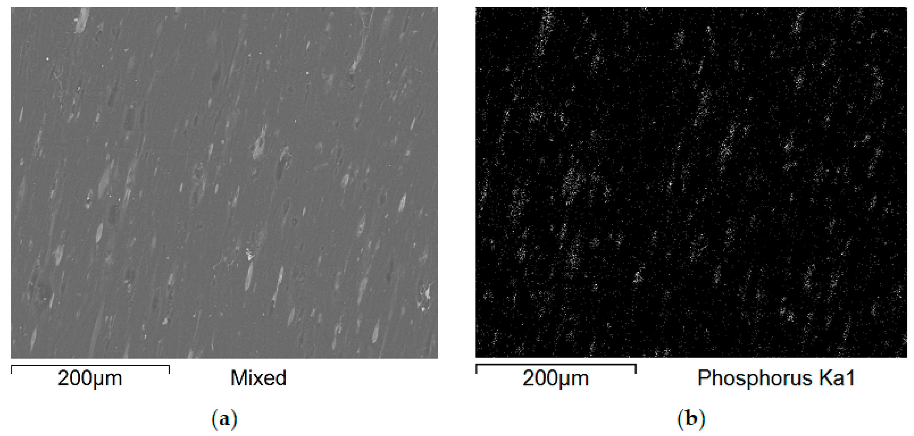 Polymers 17 02734 g009 Polymers 17 02734 g009