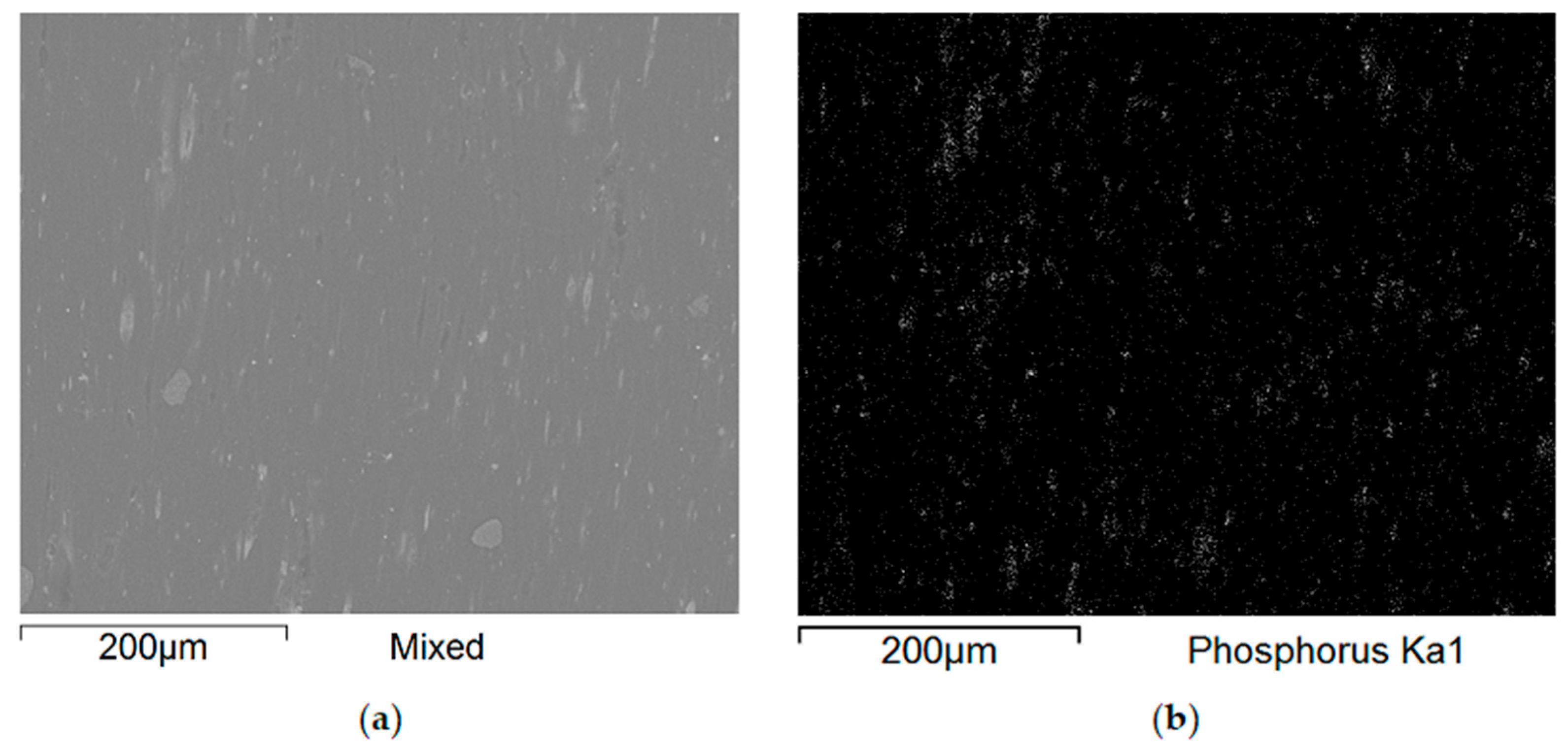 Polymers 17 02734 g010 Polymers 17 02734 g010