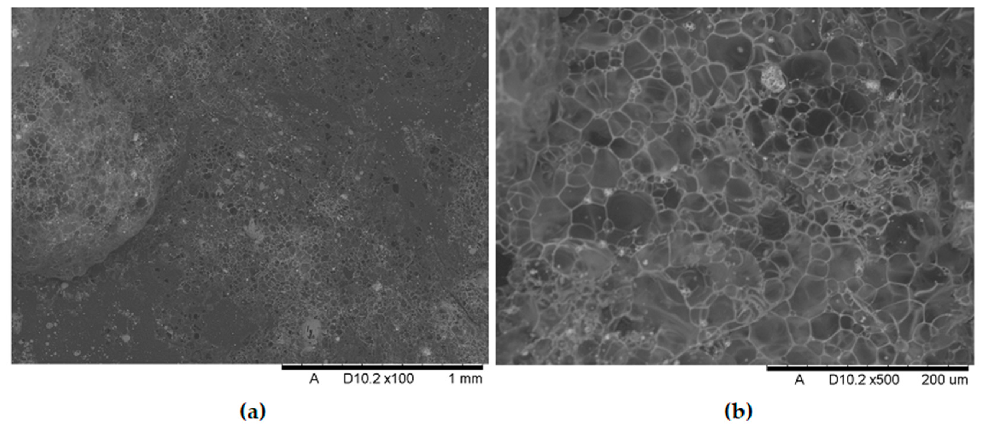 Polymers 17 02734 g016 Polymers 17 02734 g016