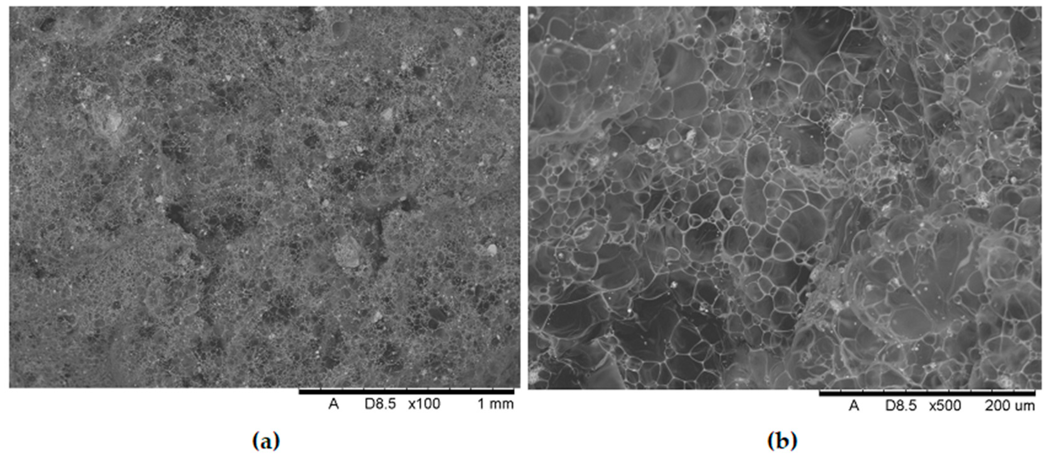 Polymers 17 02734 g017 Polymers 17 02734 g017