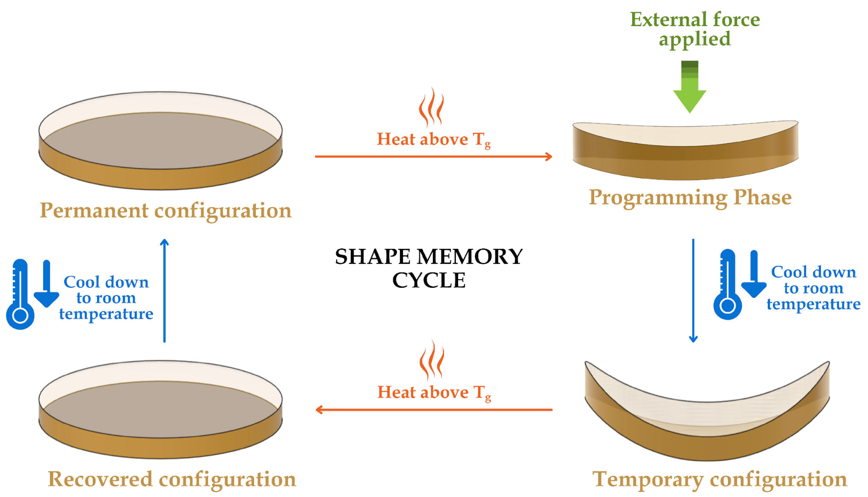 Polymers 17 02742 g001