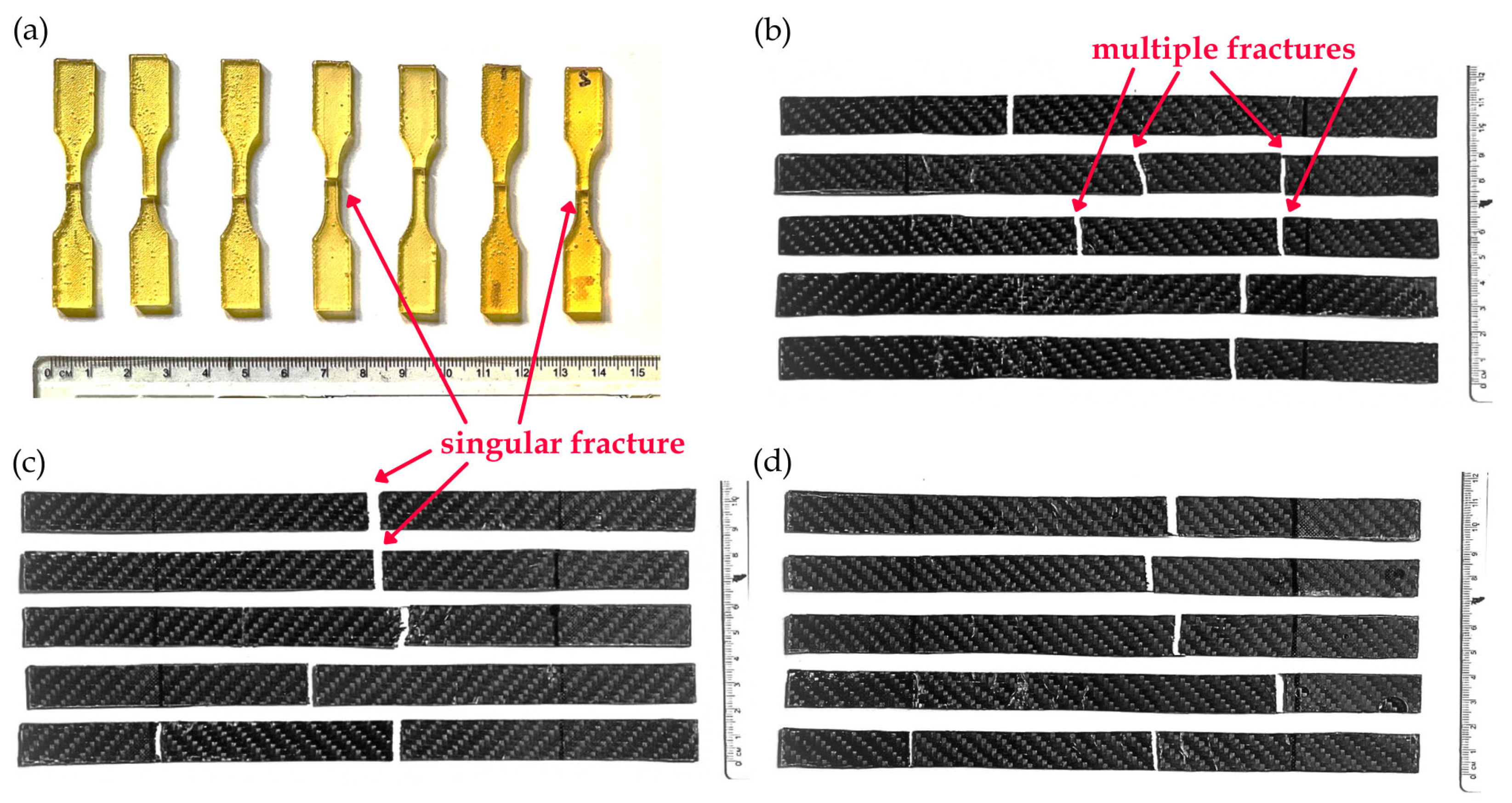 Polymers 17 02742 g012