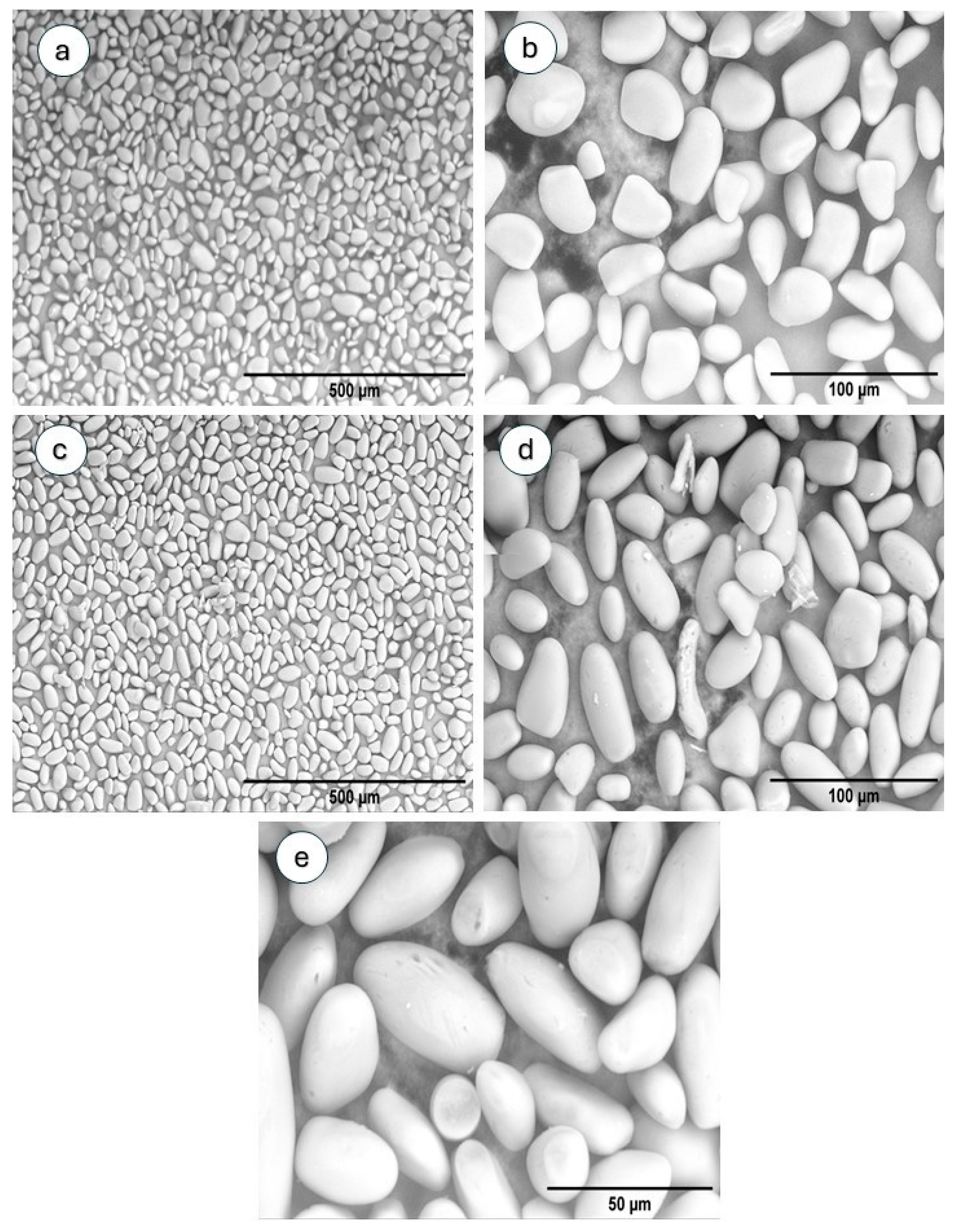Polymers 17 02754 g002