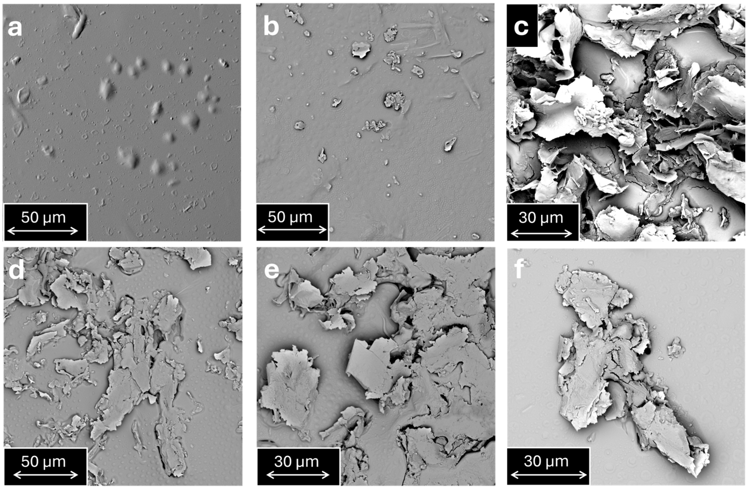 Polymers 17 02759 g007