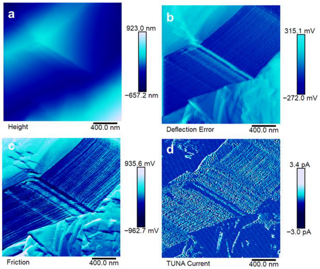Polymers 17 02759 g009