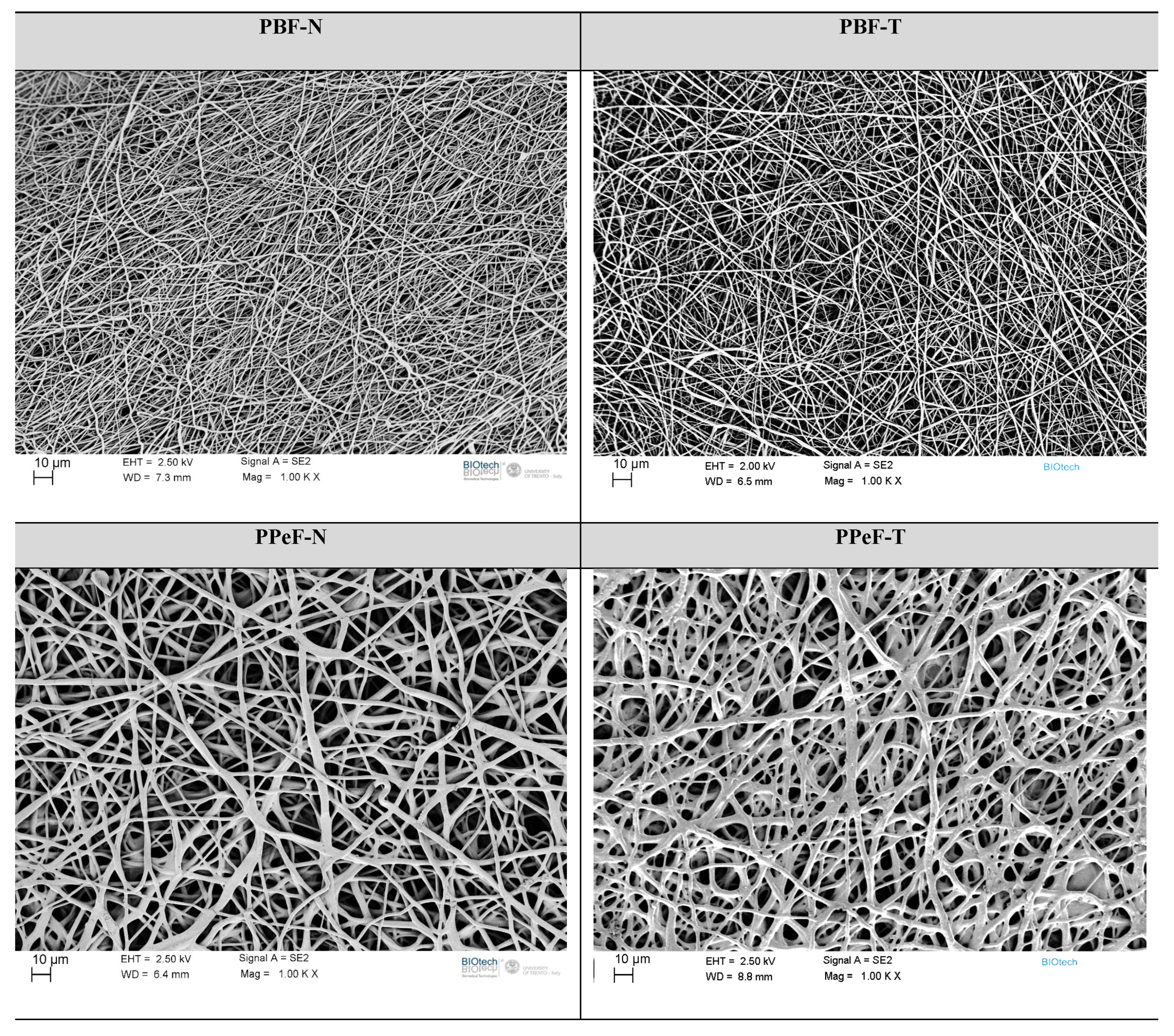 Polymers 17 02790 g003