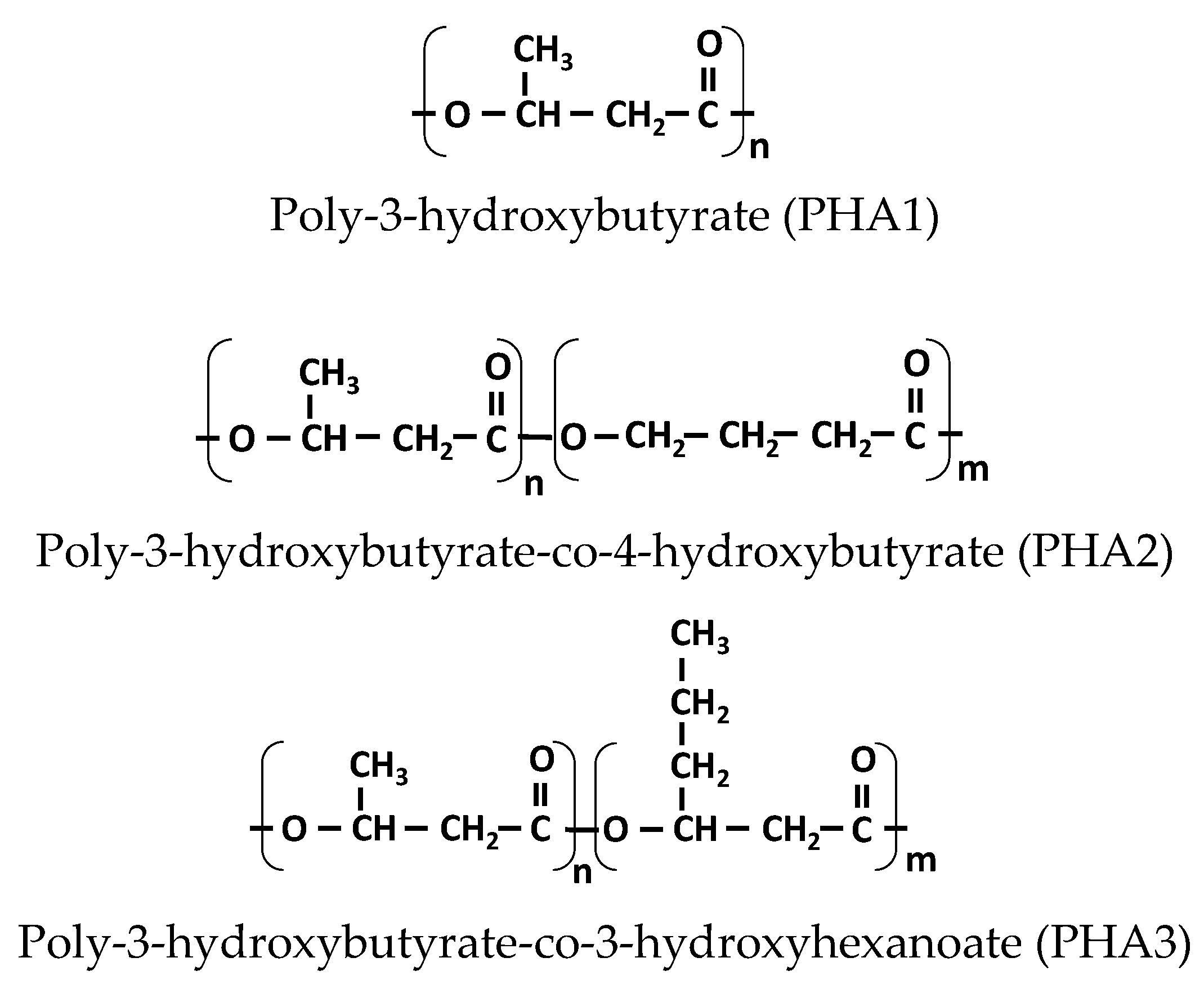 Polymers 17 02811 g005