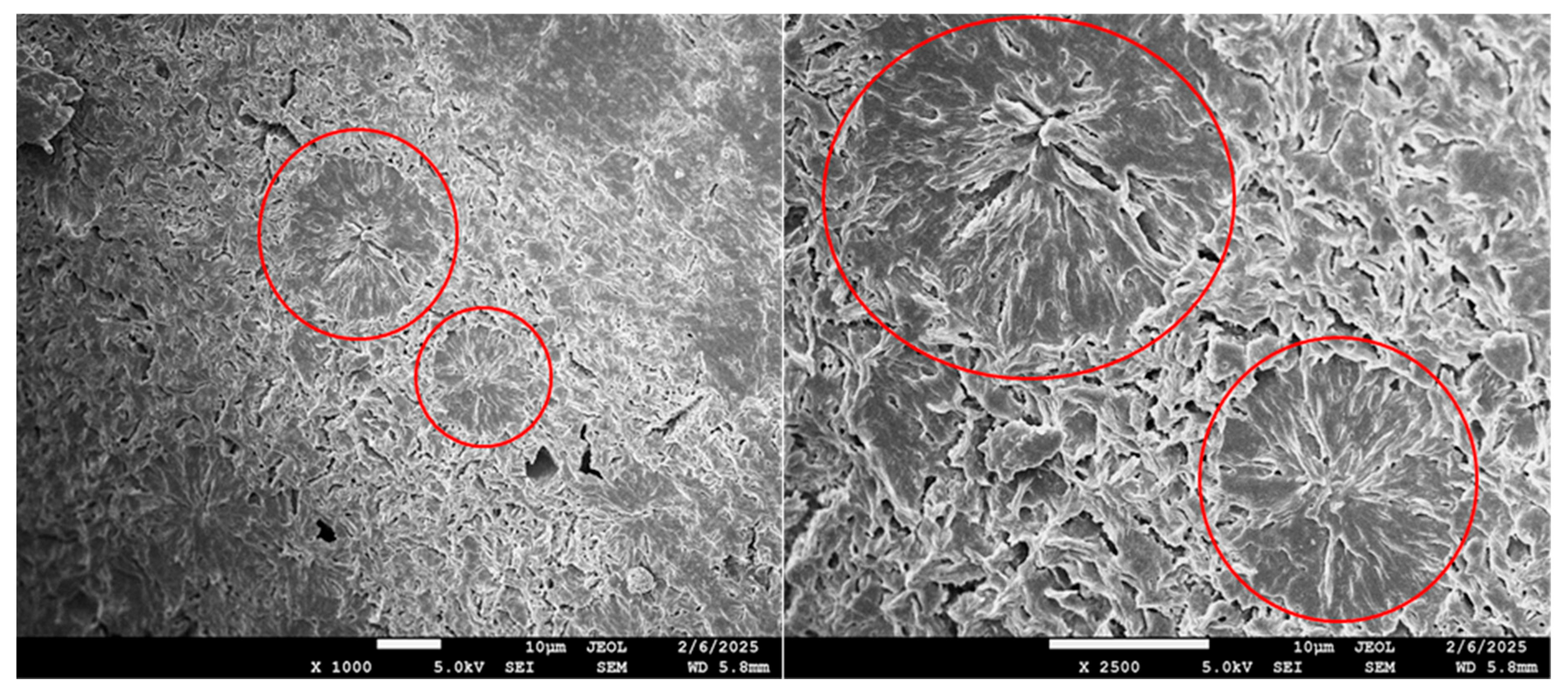 Polymers 17 02811 g007