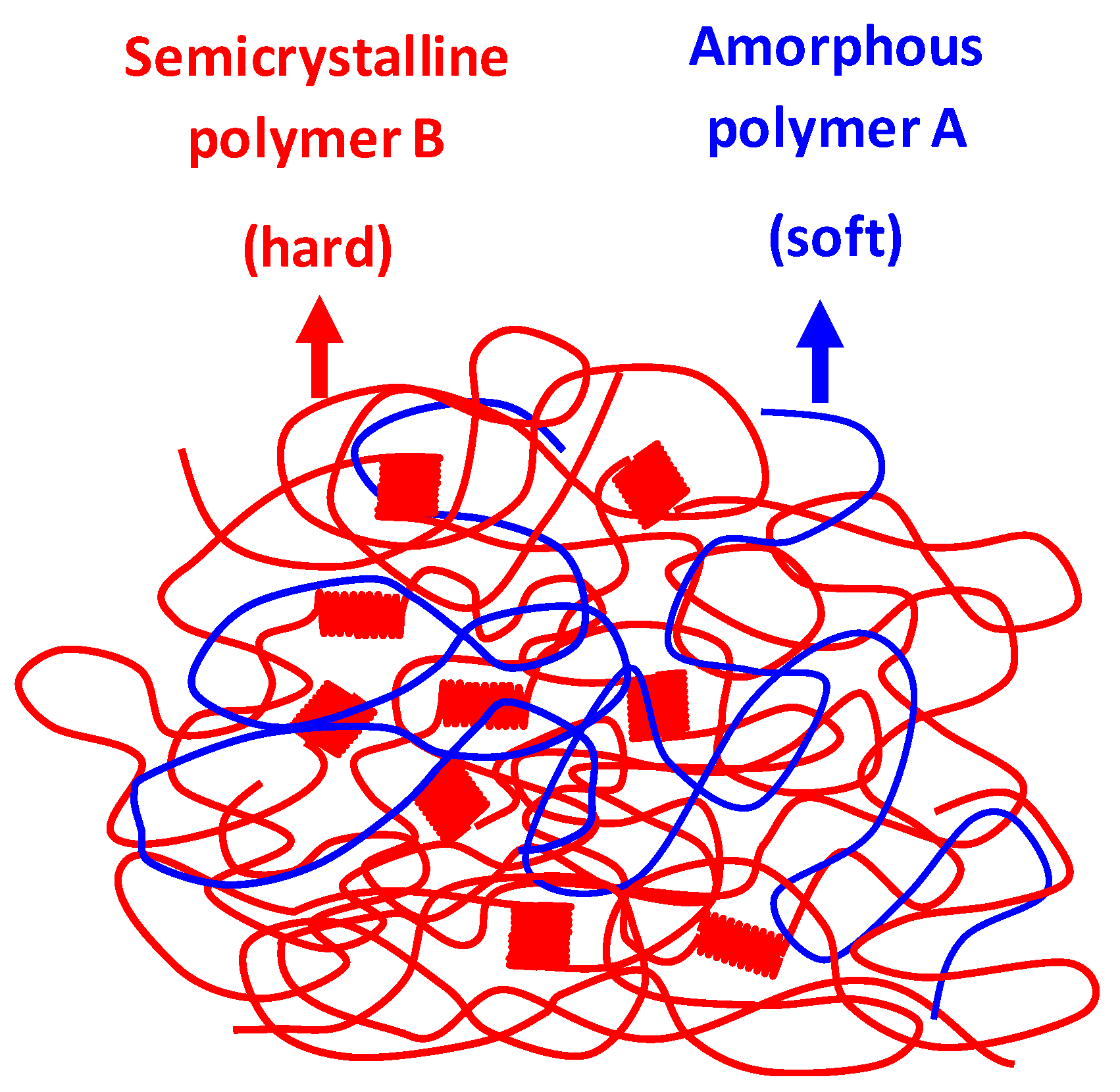 Polymers 17 02811 g019