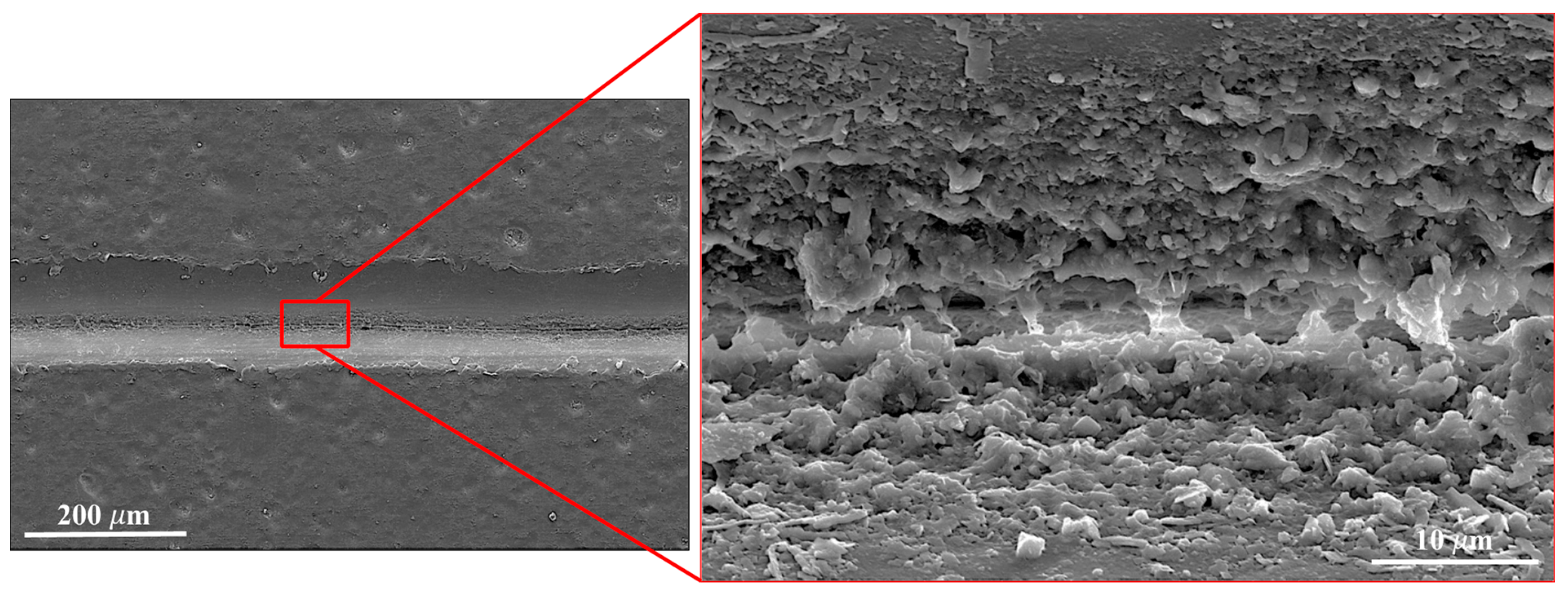 Polymers 17 02812 g005 Polymers 17 02812 g005
