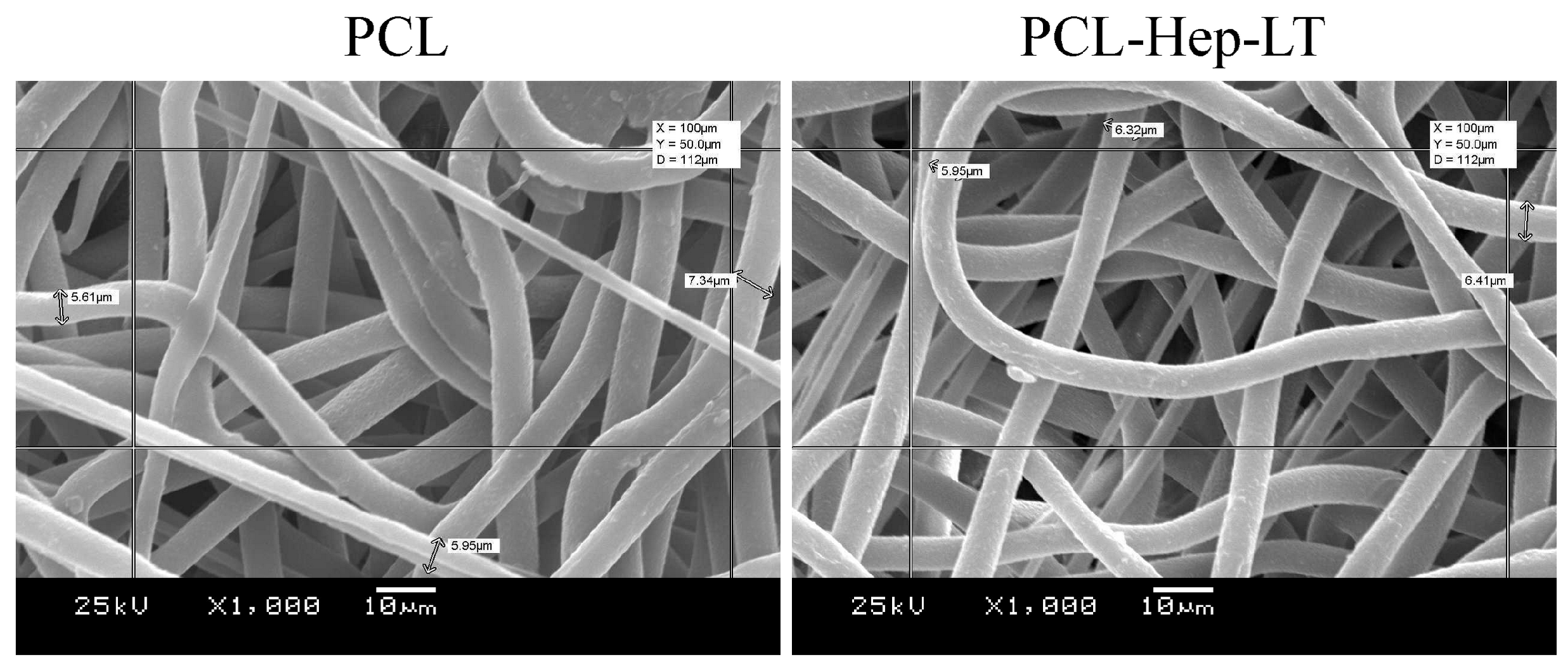 Polymers 17 02813 g003
