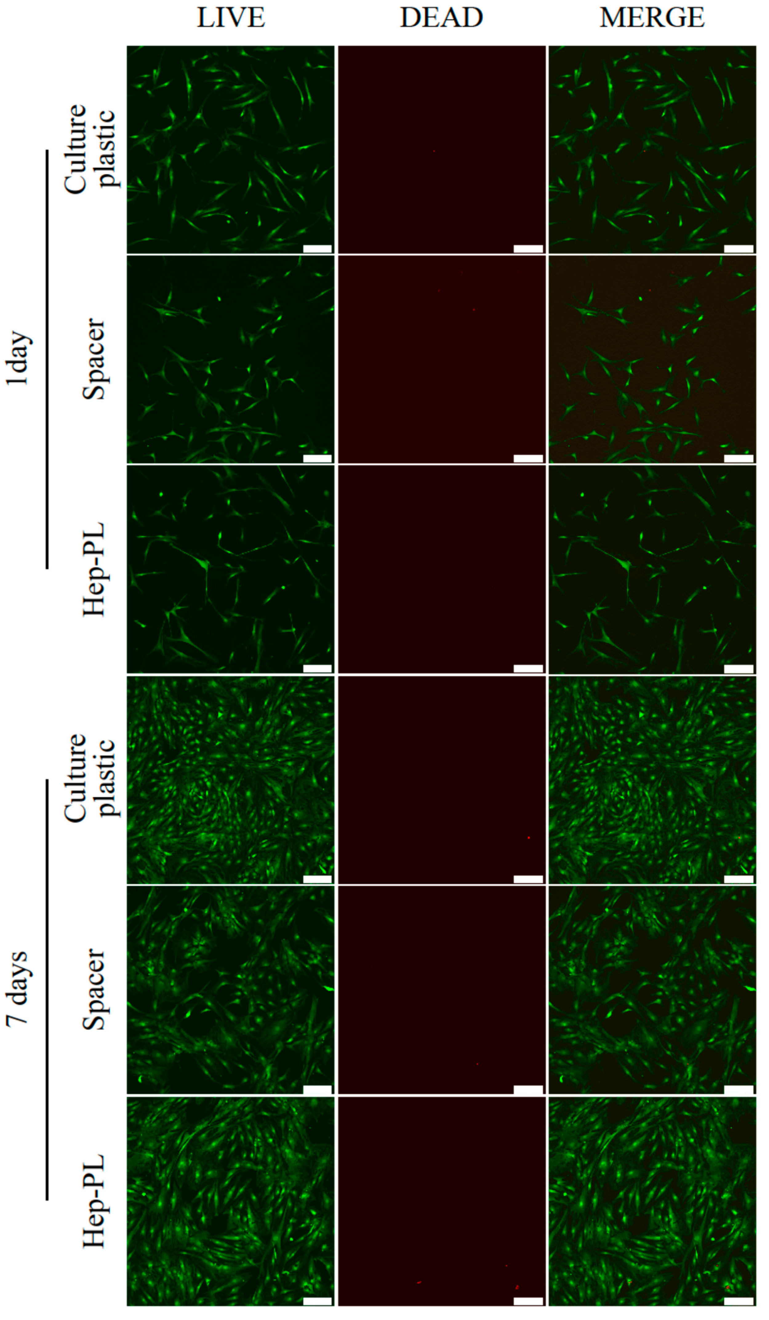 Polymers 17 02813 g005