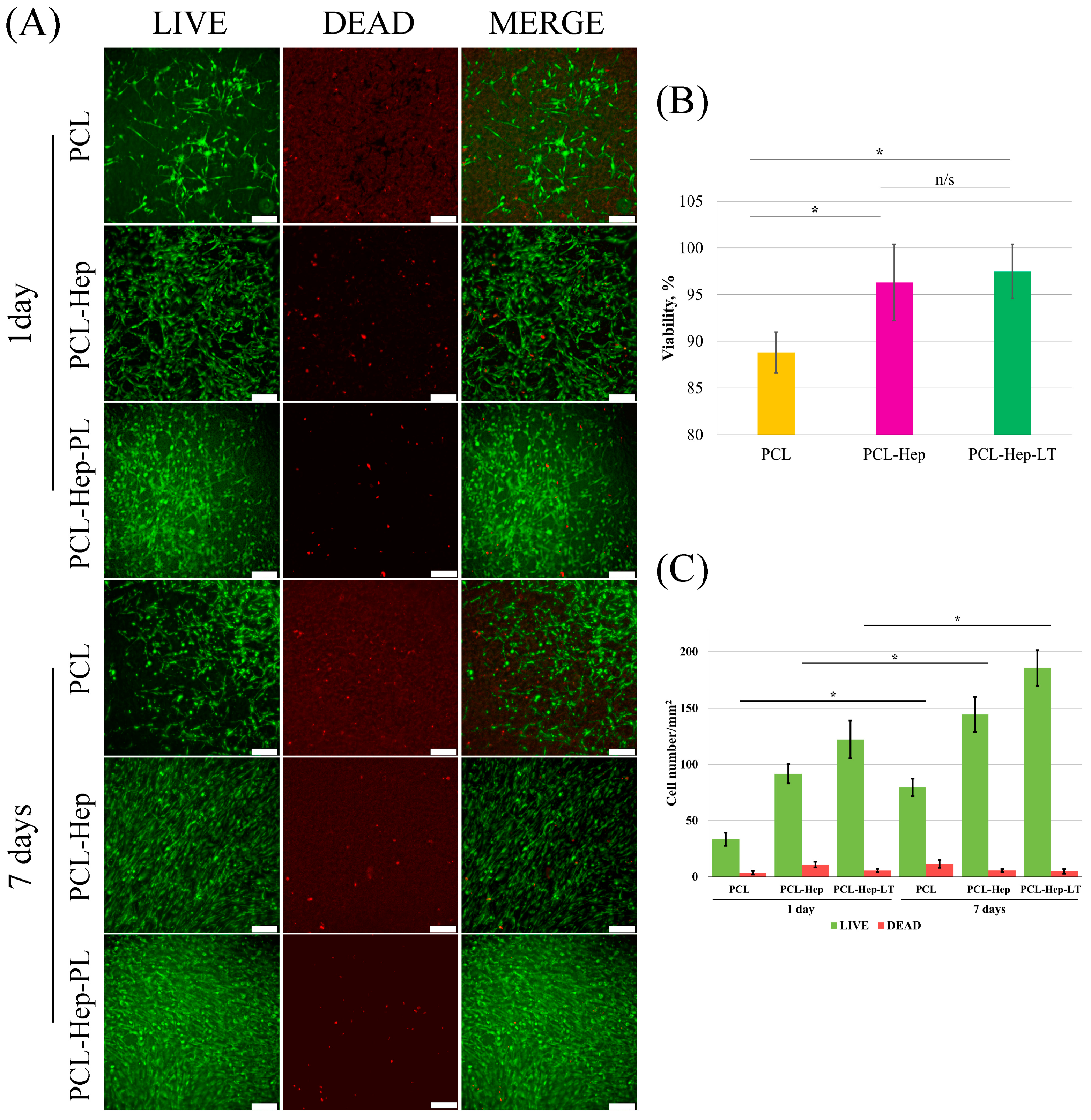 Polymers 17 02813 g006