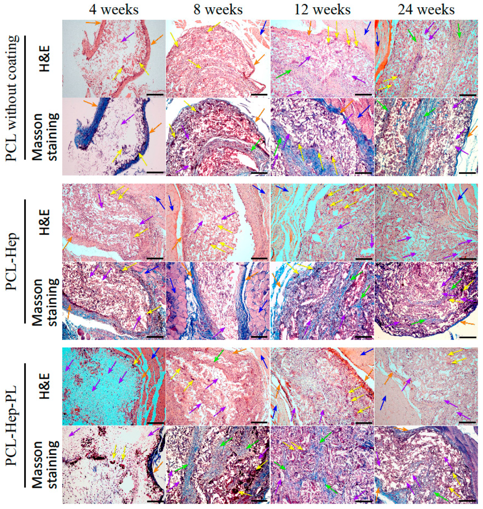 Polymers 17 02813 g007