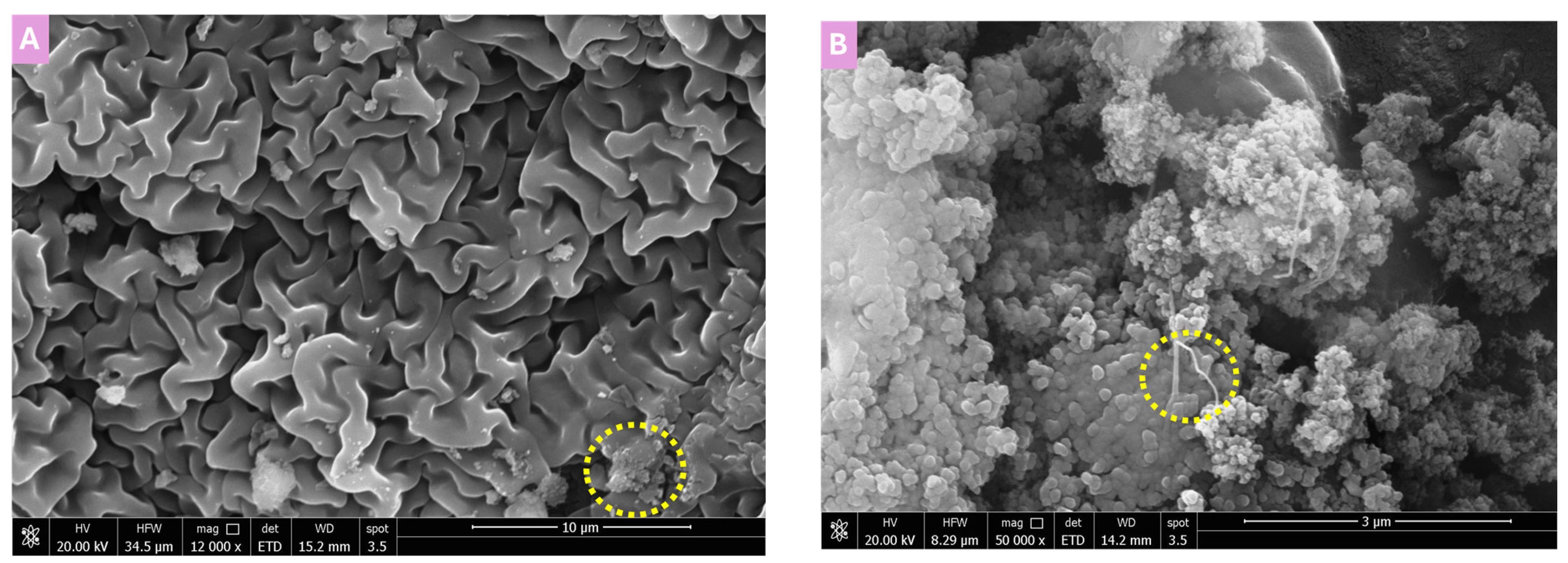 Polymers 17 02818 g003a