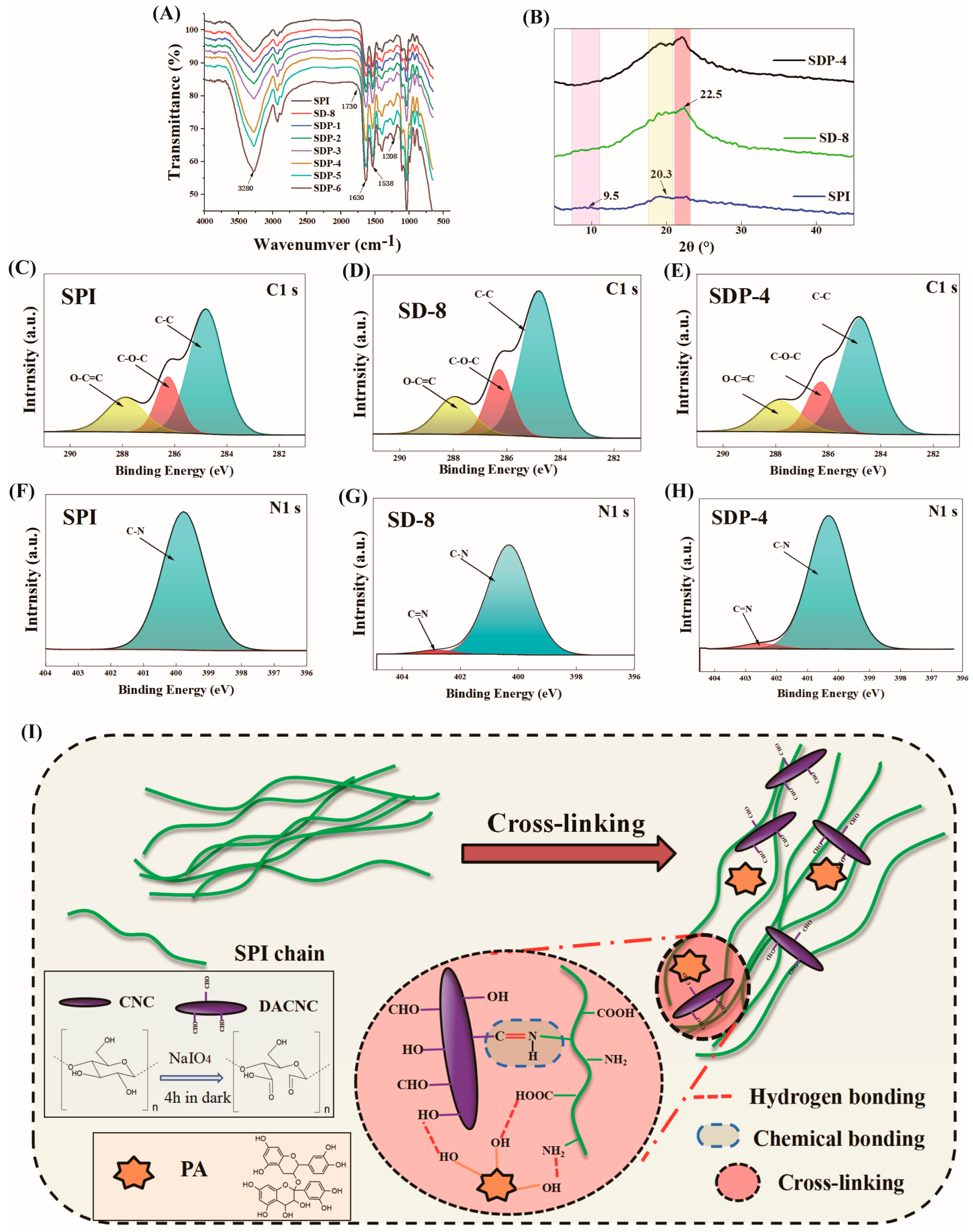 Polymers 17 02821 g003