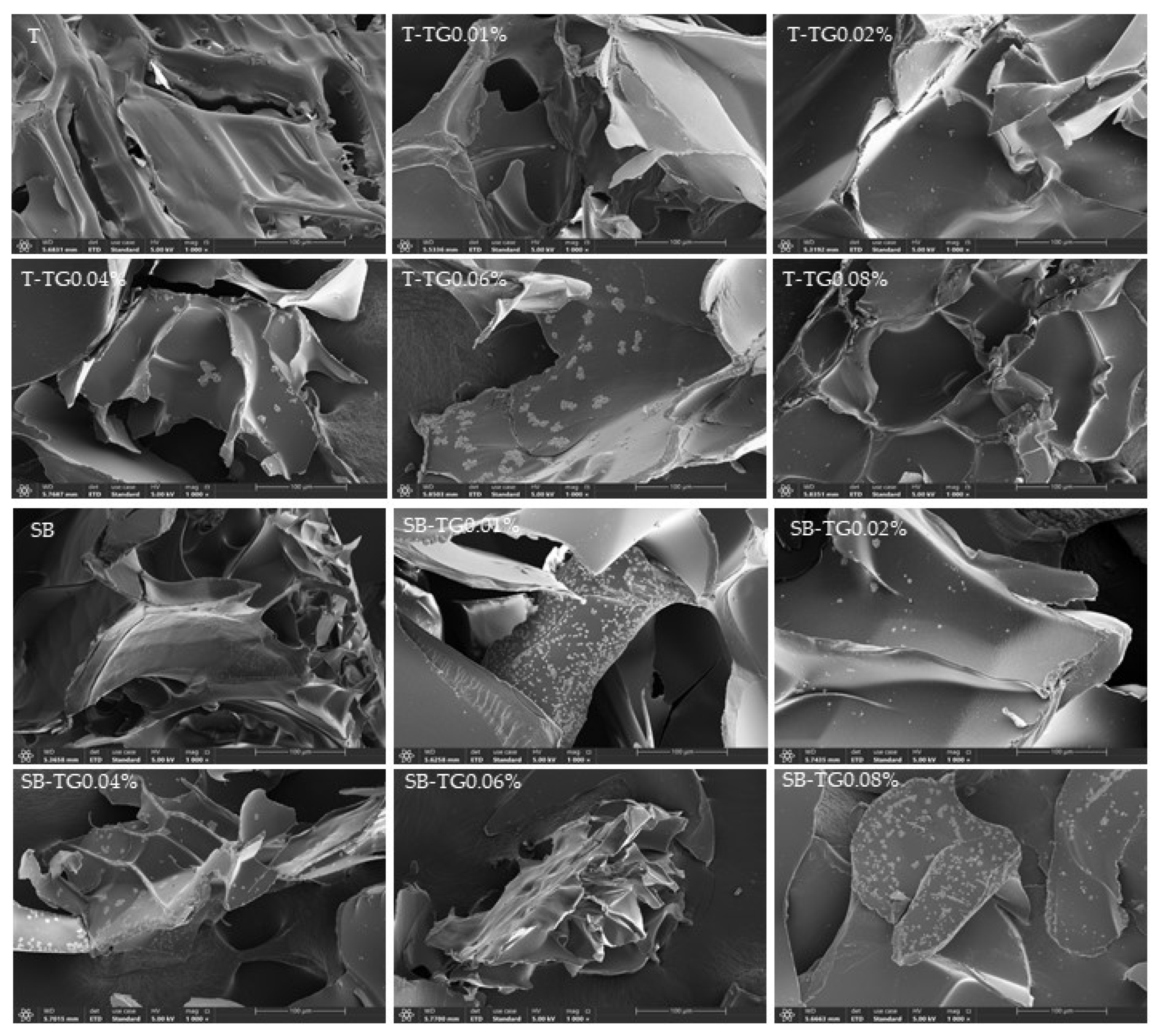 Polymers 17 02822 g012 Polymers 17 02822 g012