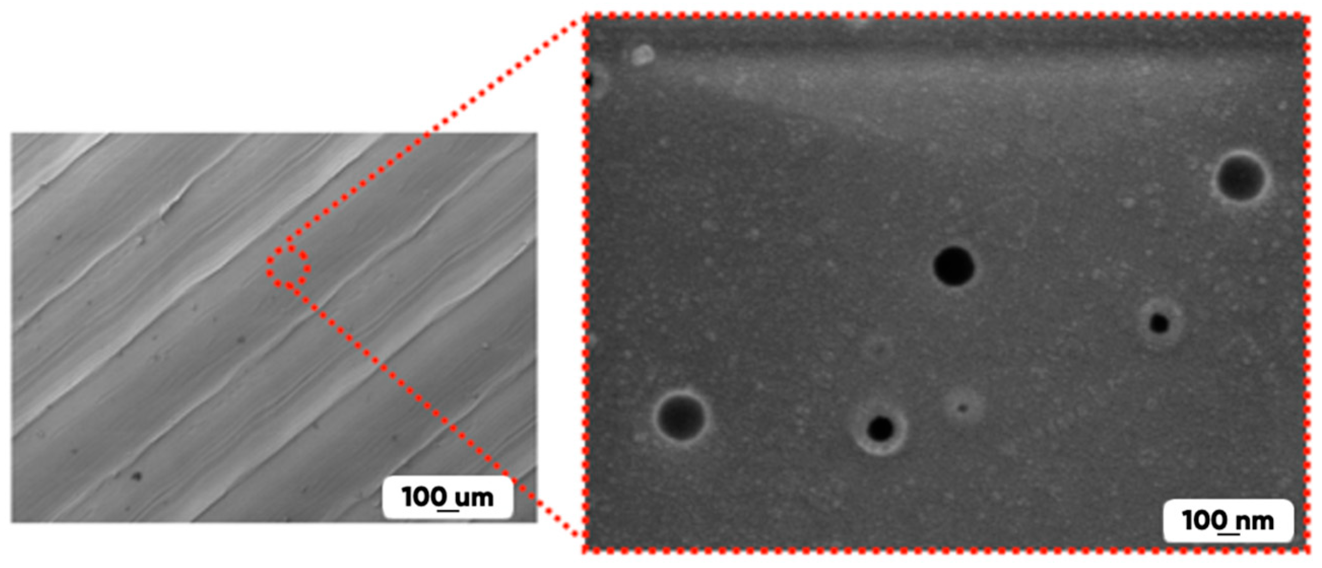 Polymers 17 02824 g005