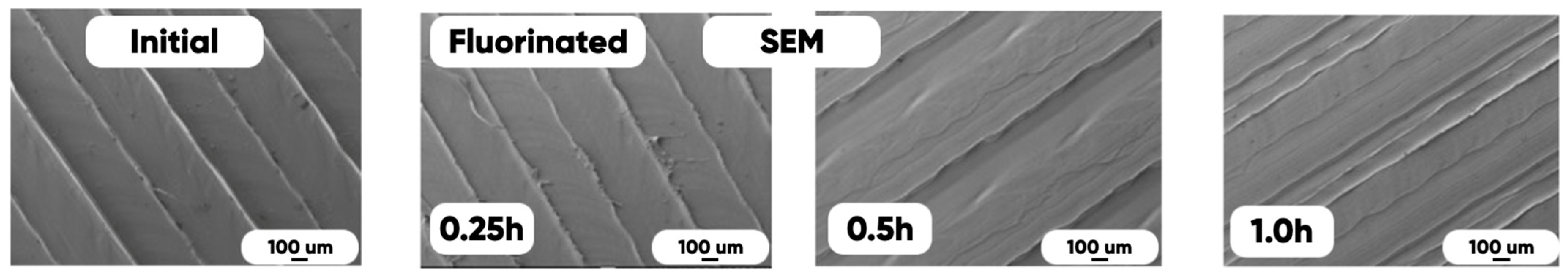 Polymers 17 02824 g006