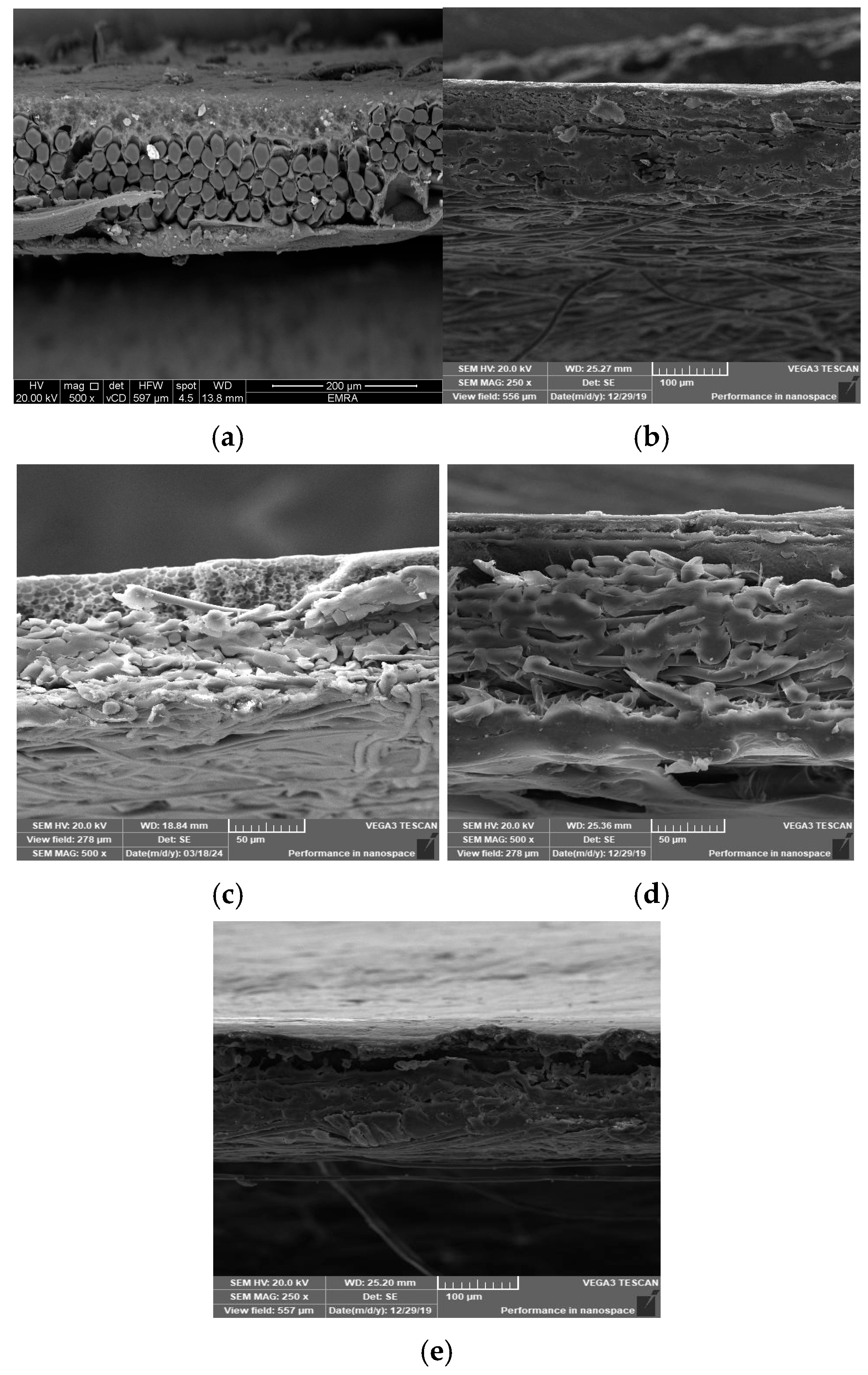 Polymers 17 02825 g007