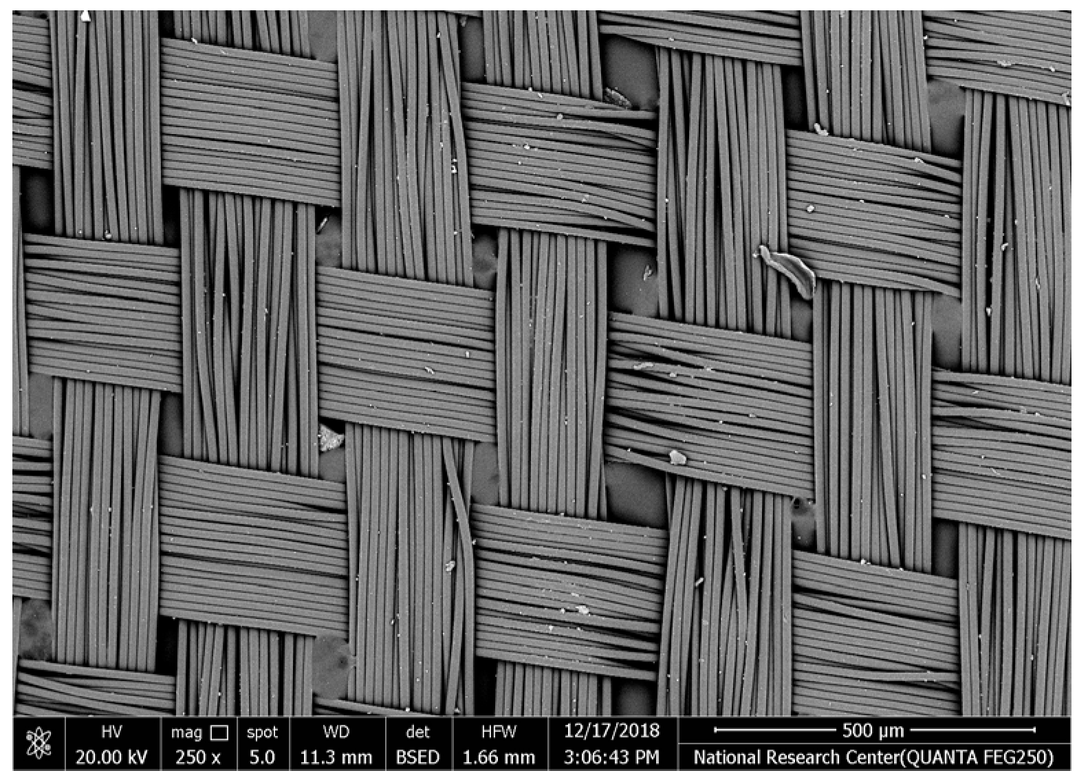 Polymers 17 02825 i001