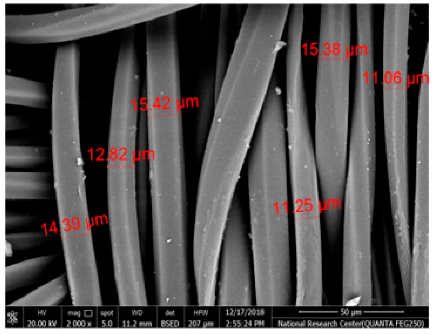 Polymers 17 02825 i002