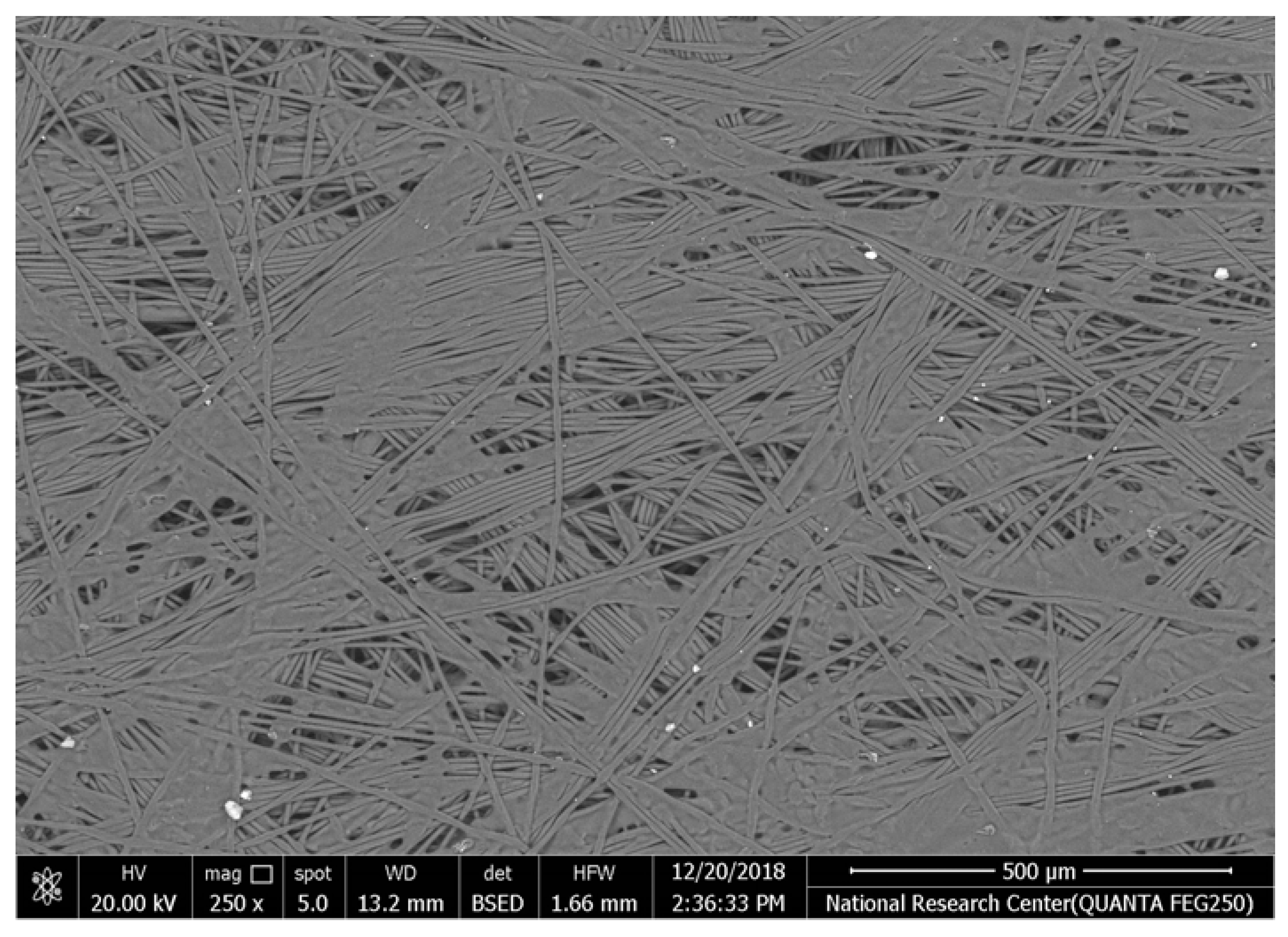 Polymers 17 02825 i003
