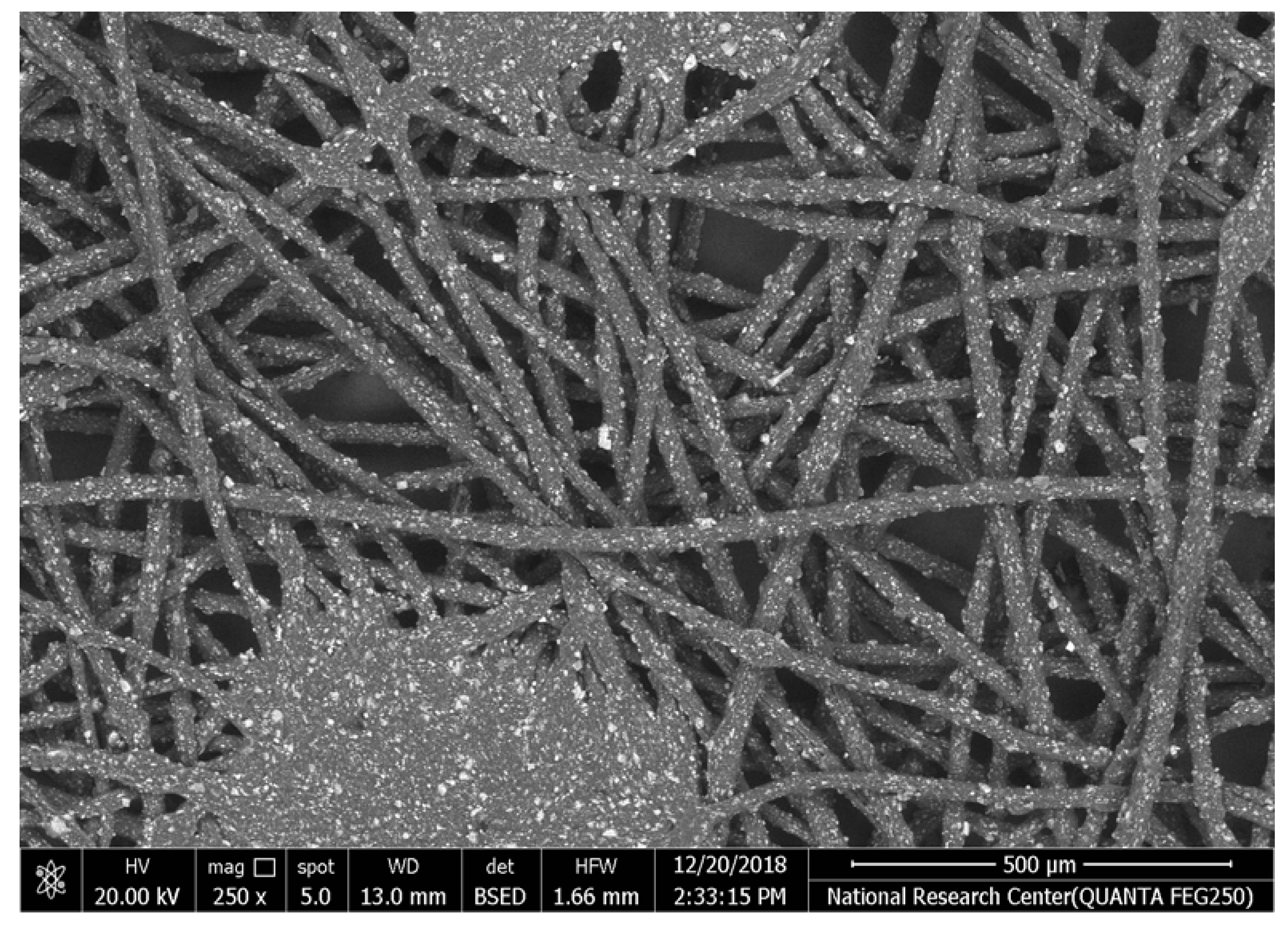 Polymers 17 02825 i005