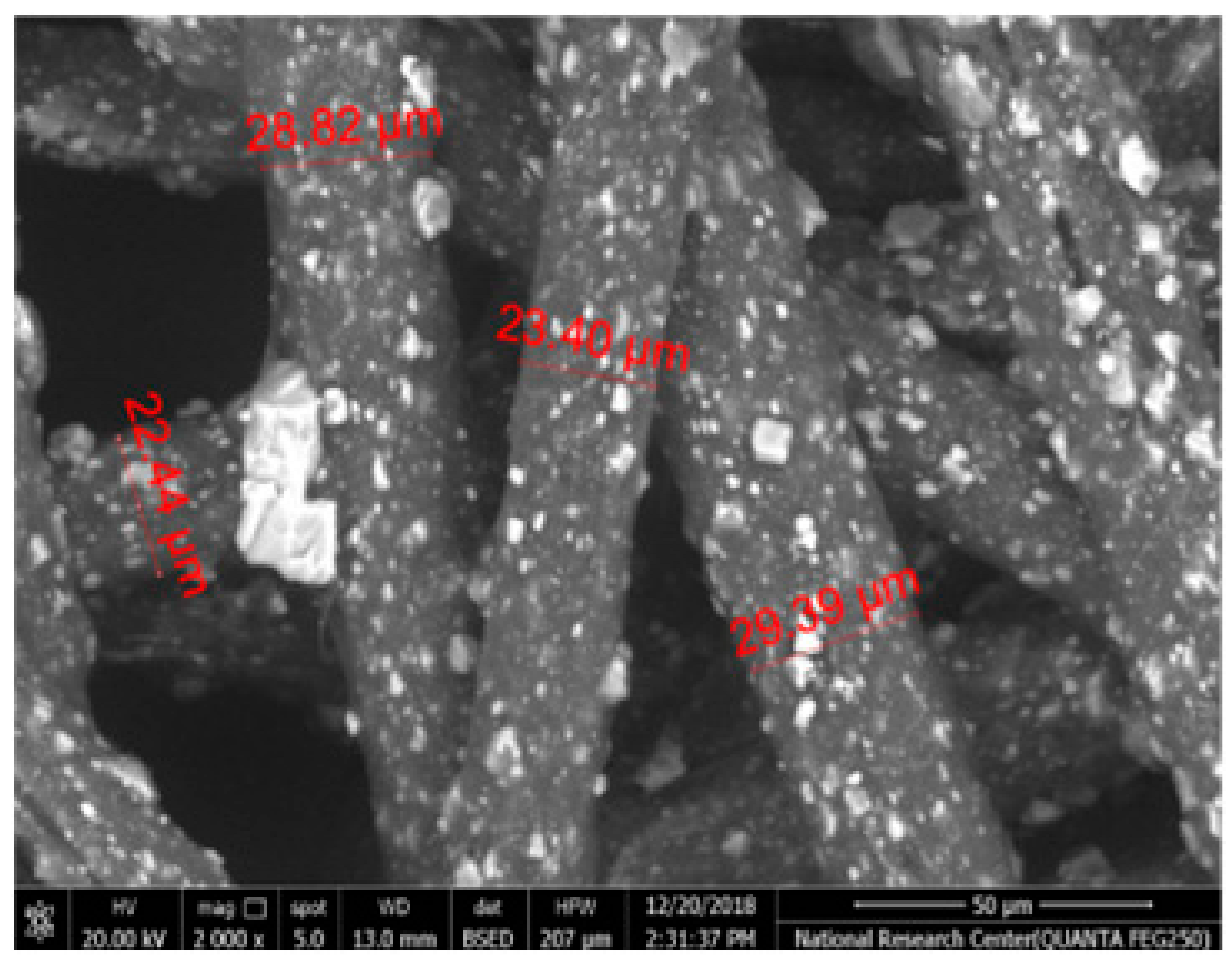 Polymers 17 02825 i006