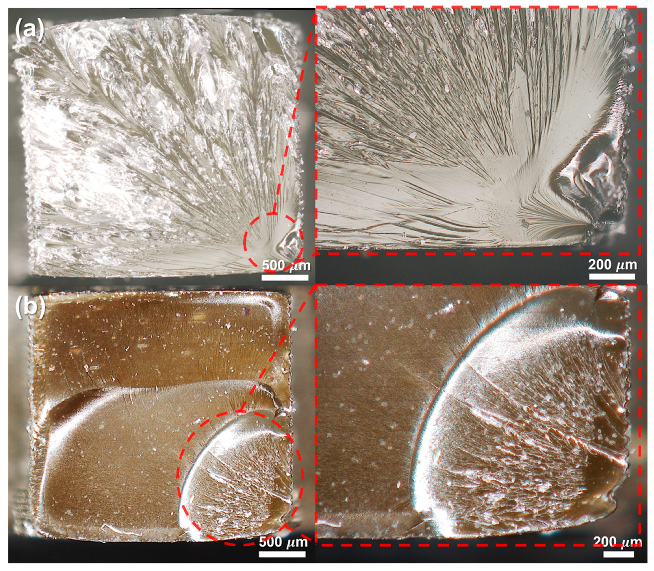 Polymers 17 02833 g007