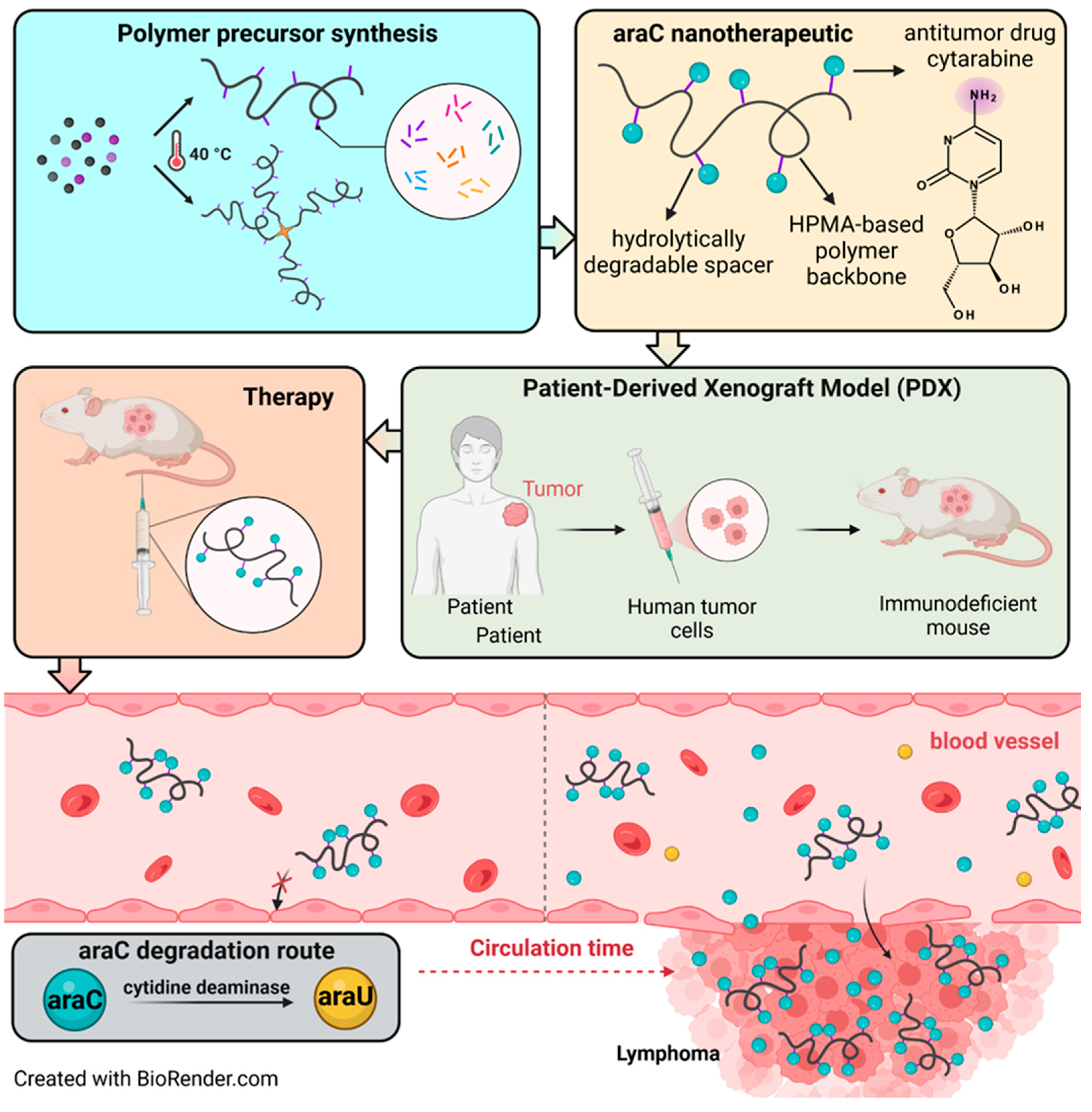 Polymers 17 02837 g001