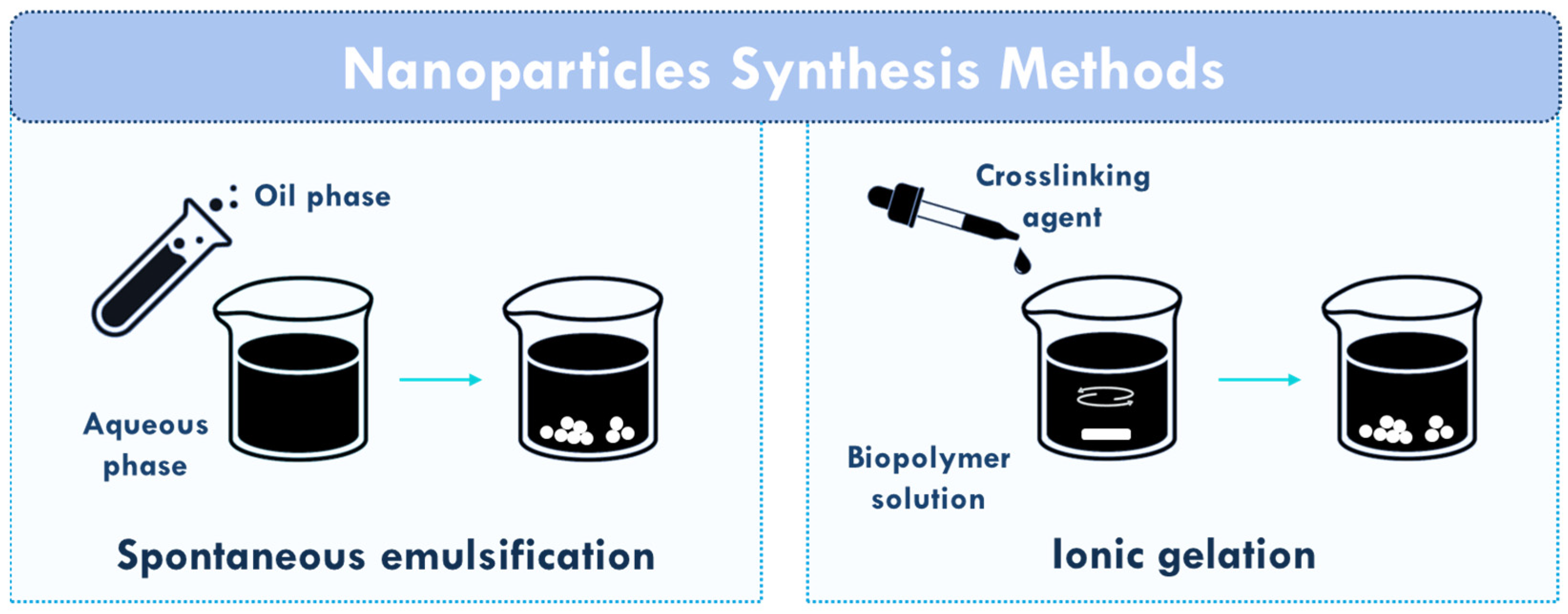 Polymers 17 02838 g003