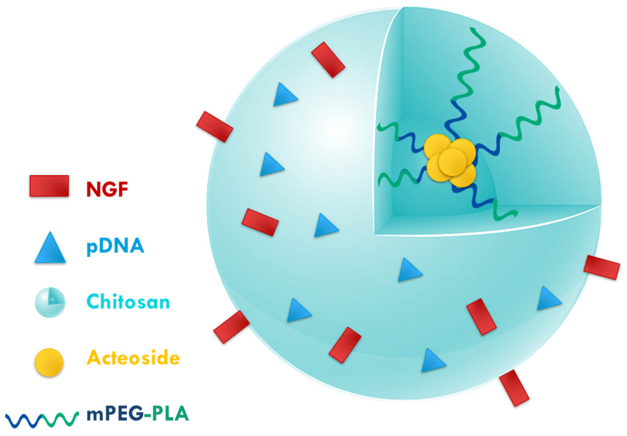 Polymers 17 02838 g005