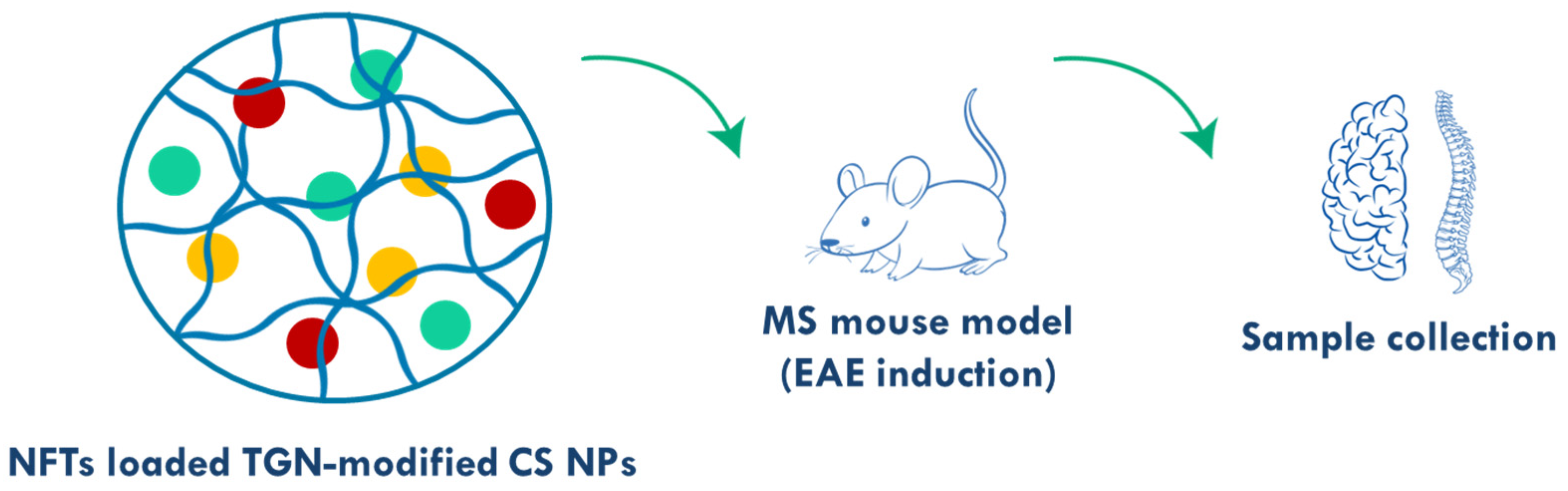Polymers 17 02838 g006