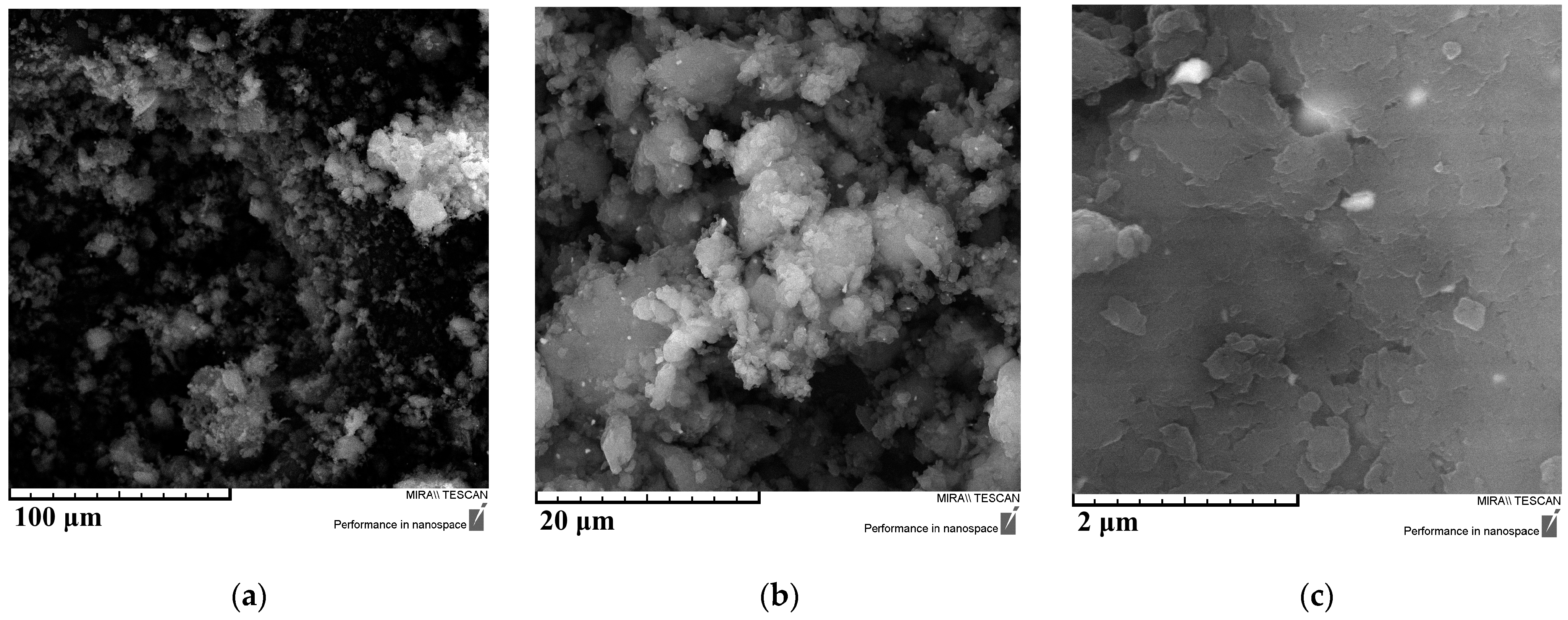 Polymers 17 02841 g003a Polymers 17 02841 g003a
