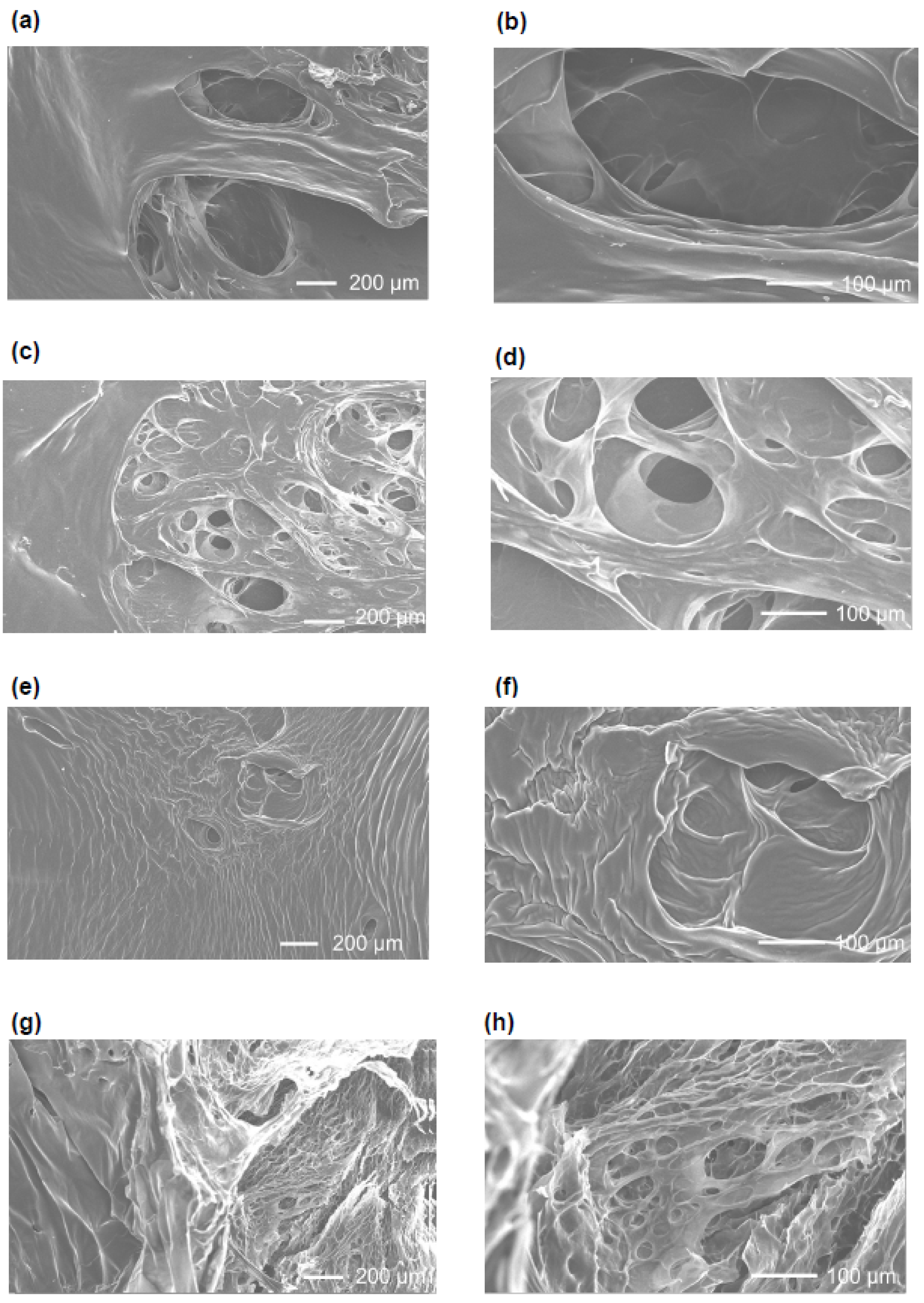 Polymers 17 02845 g001 Polymers 17 02845 g001