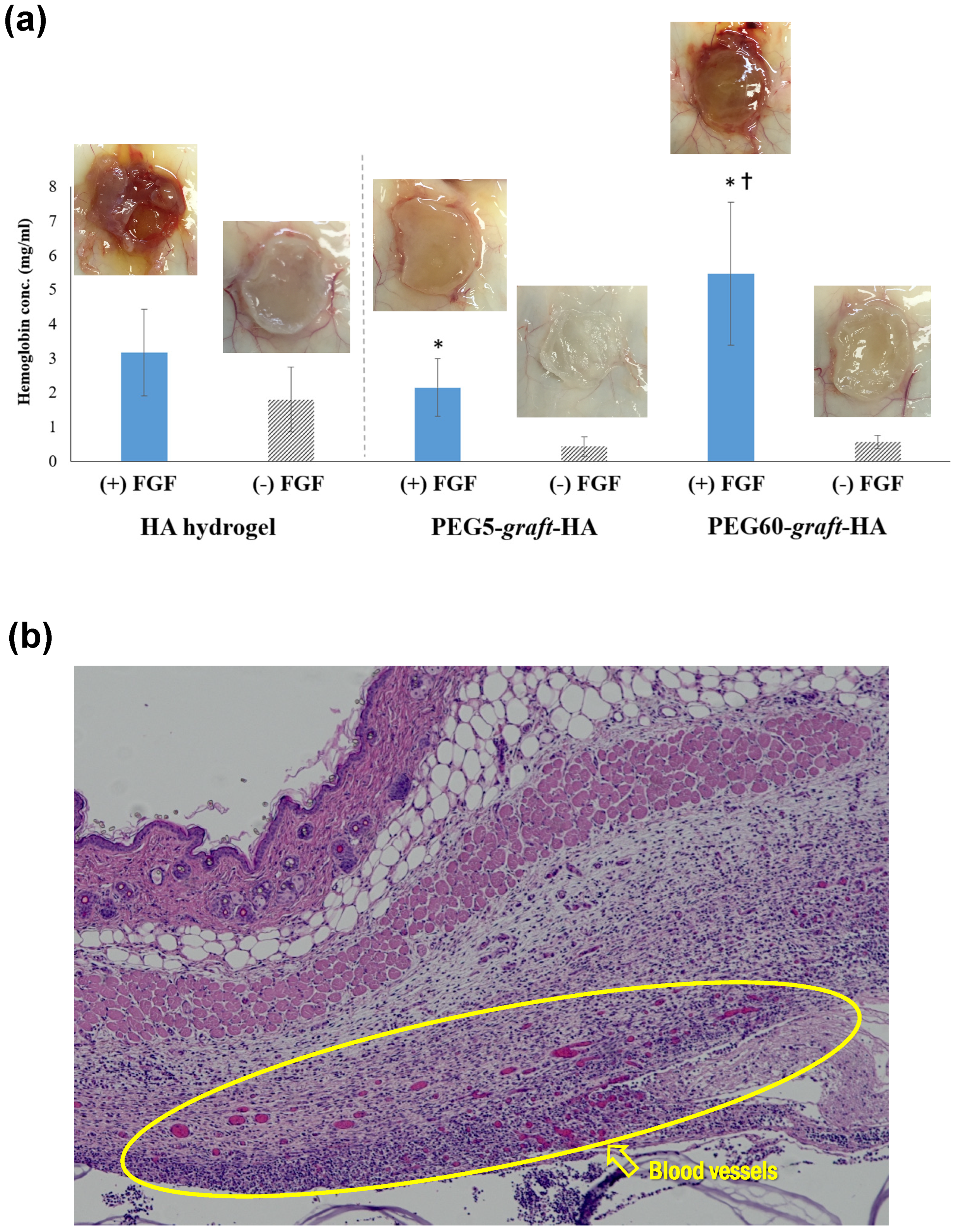 Polymers 17 02845 g008 Polymers 17 02845 g008