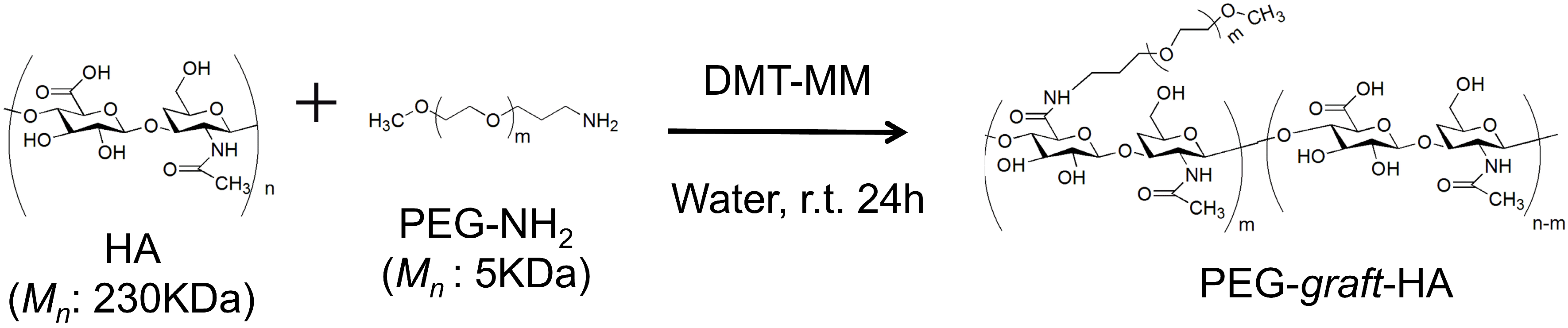 Polymers 17 02845 sch001 Polymers 17 02845 sch001