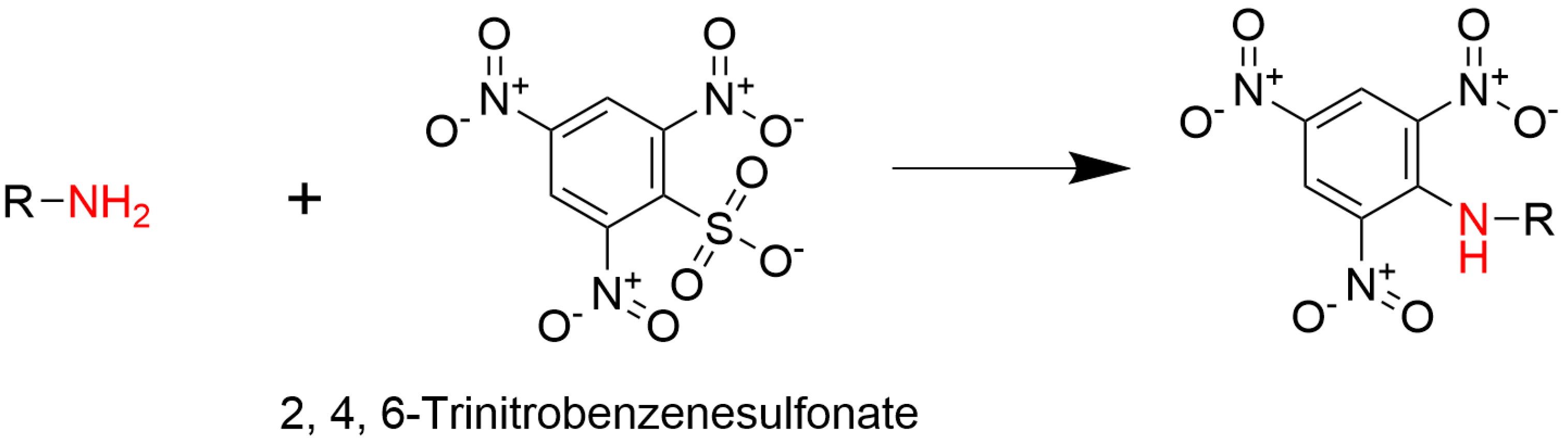 Polymers 17 02845 sch002 Polymers 17 02845 sch002