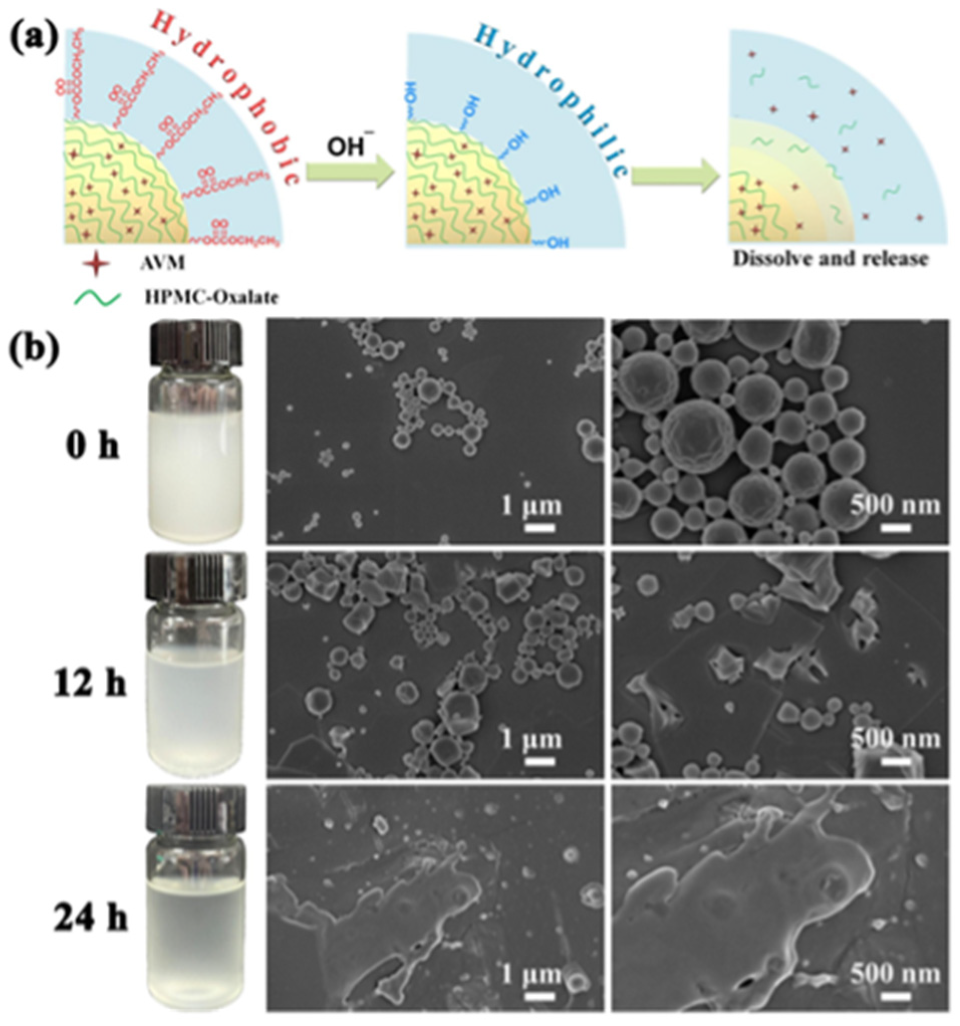 Polymers 17 02851 g005