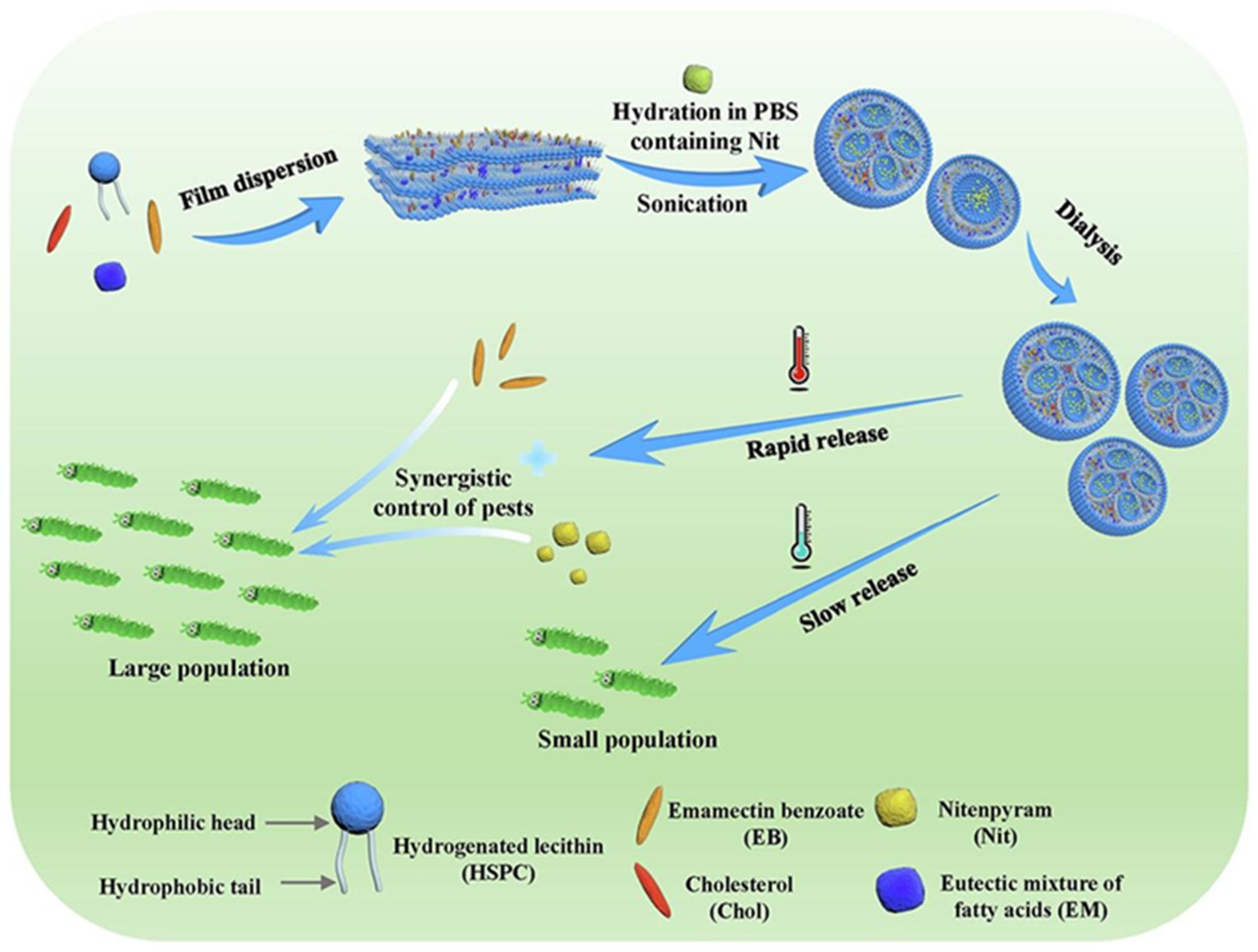 Polymers 17 02851 g008