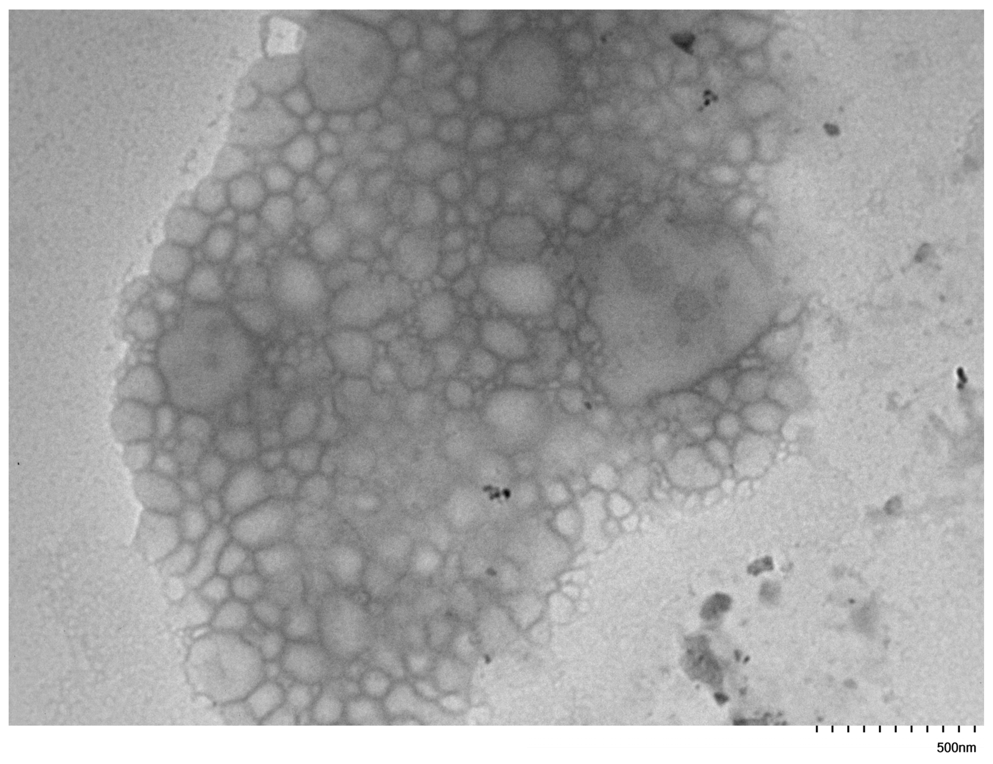 Polymers 17 02852 g009