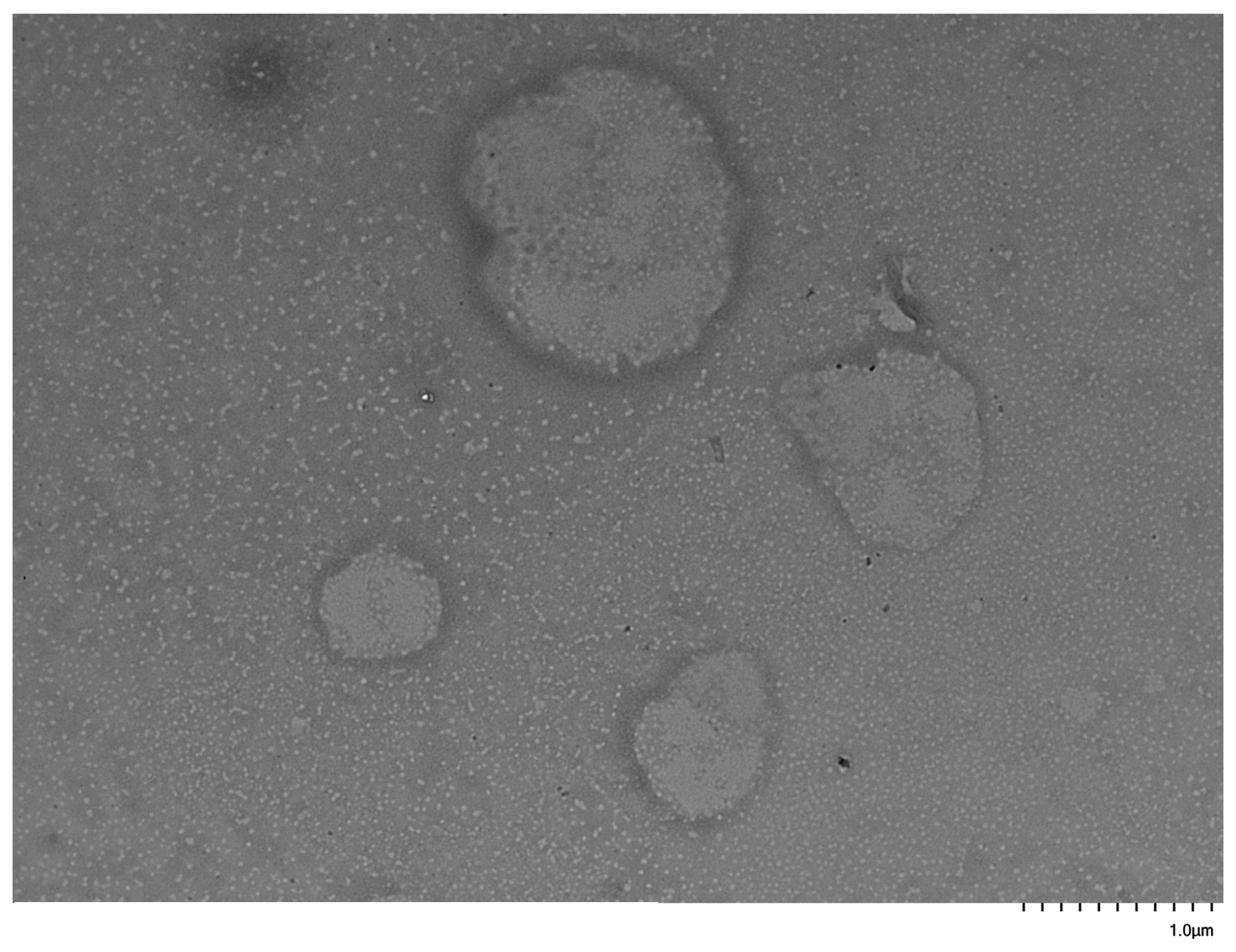 Polymers 17 02852 g011