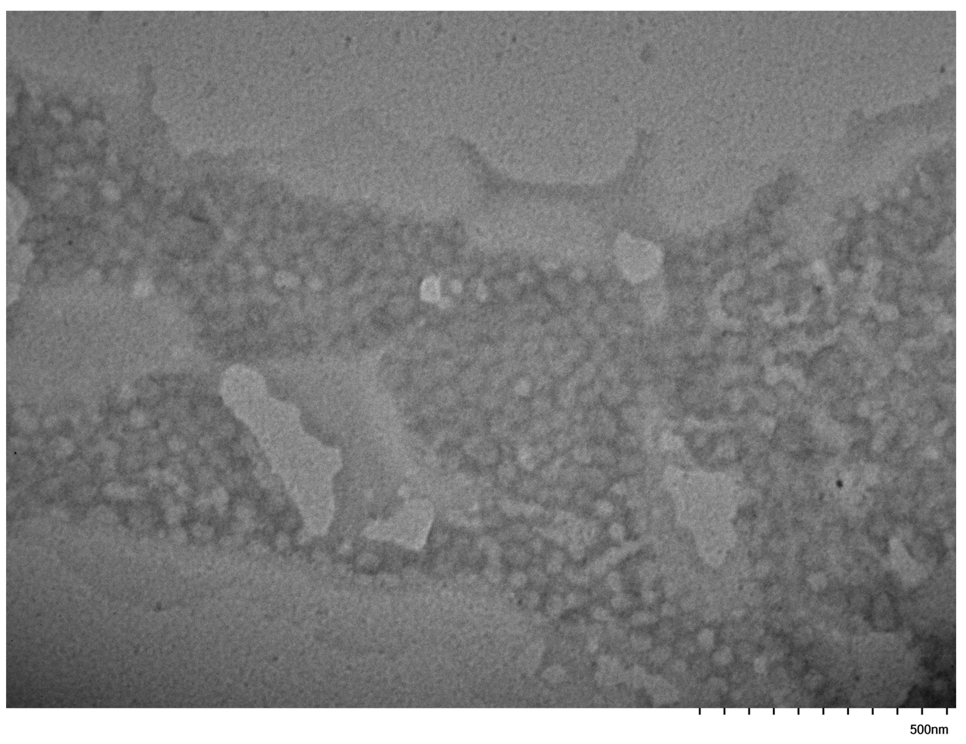 Polymers 17 02852 g013