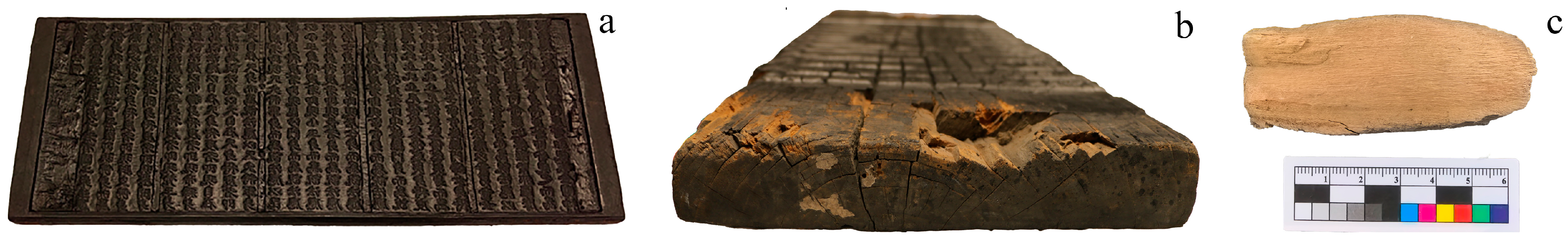 Polymers 17 02855 g001