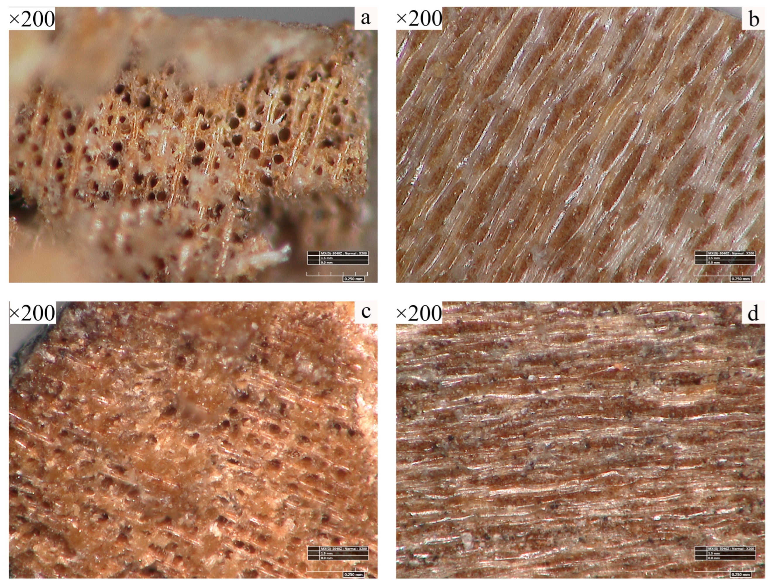Polymers 17 02855 g003