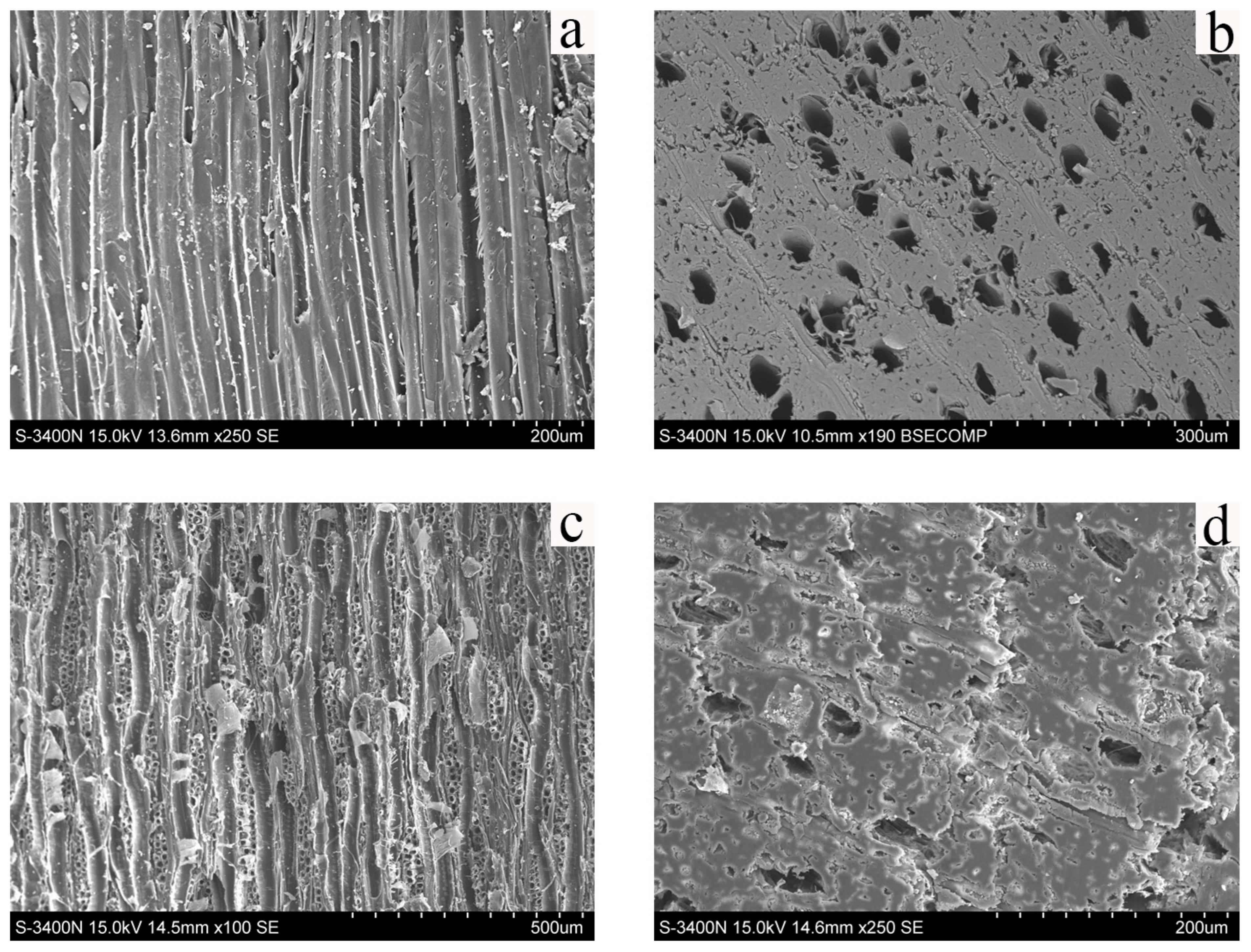 Polymers 17 02855 g004