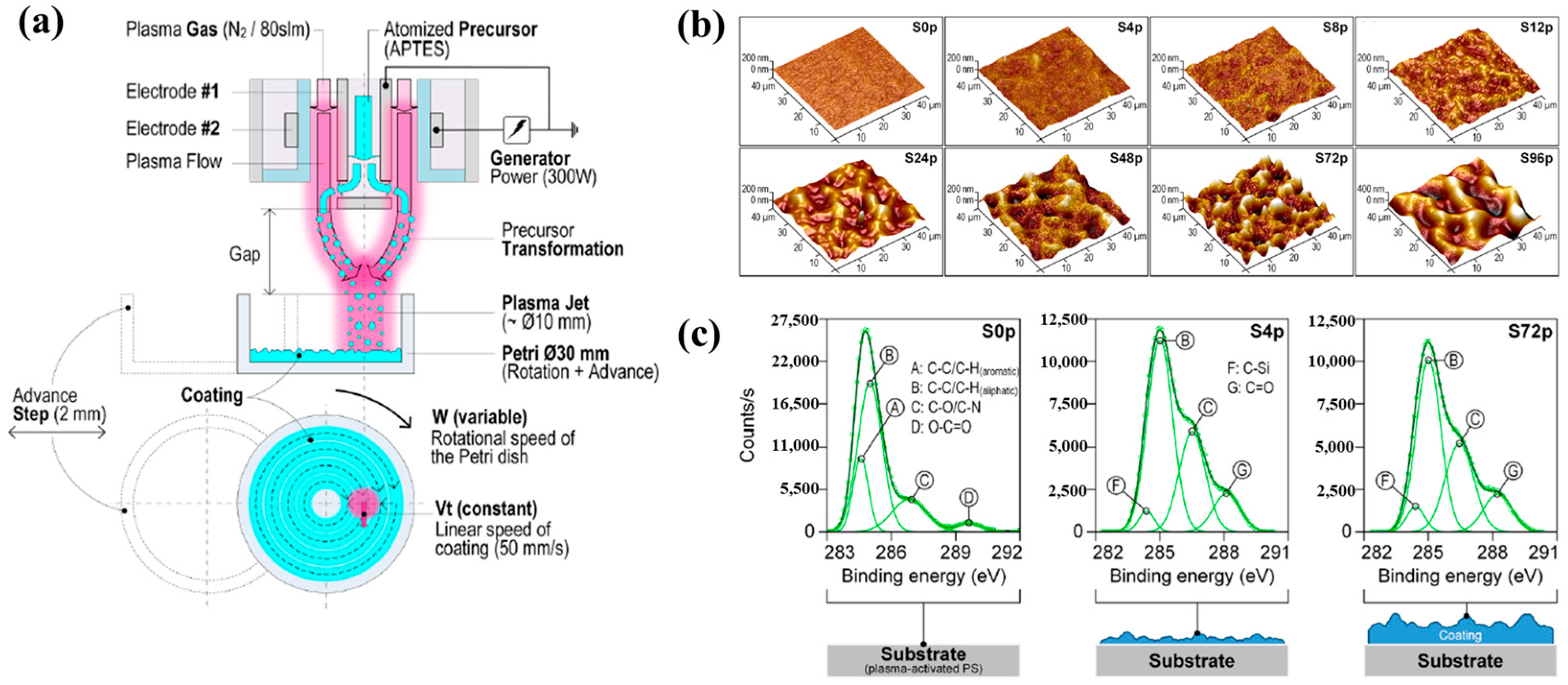 Polymers 17 02856 g004 Polymers 17 02856 g004